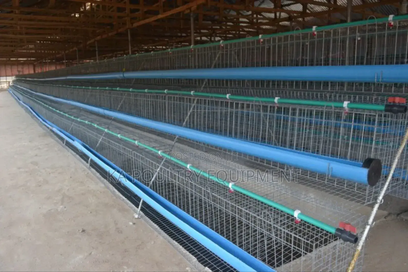 3 Step Local Battery Cage