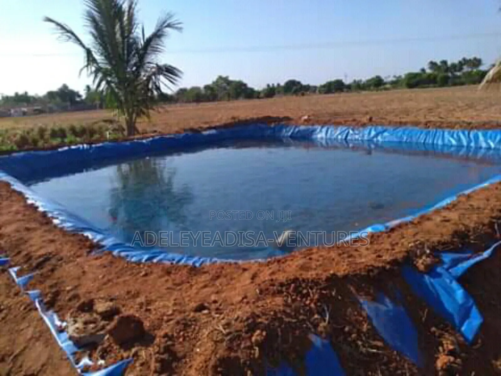 Fish Pond 10feet by Feet Height
