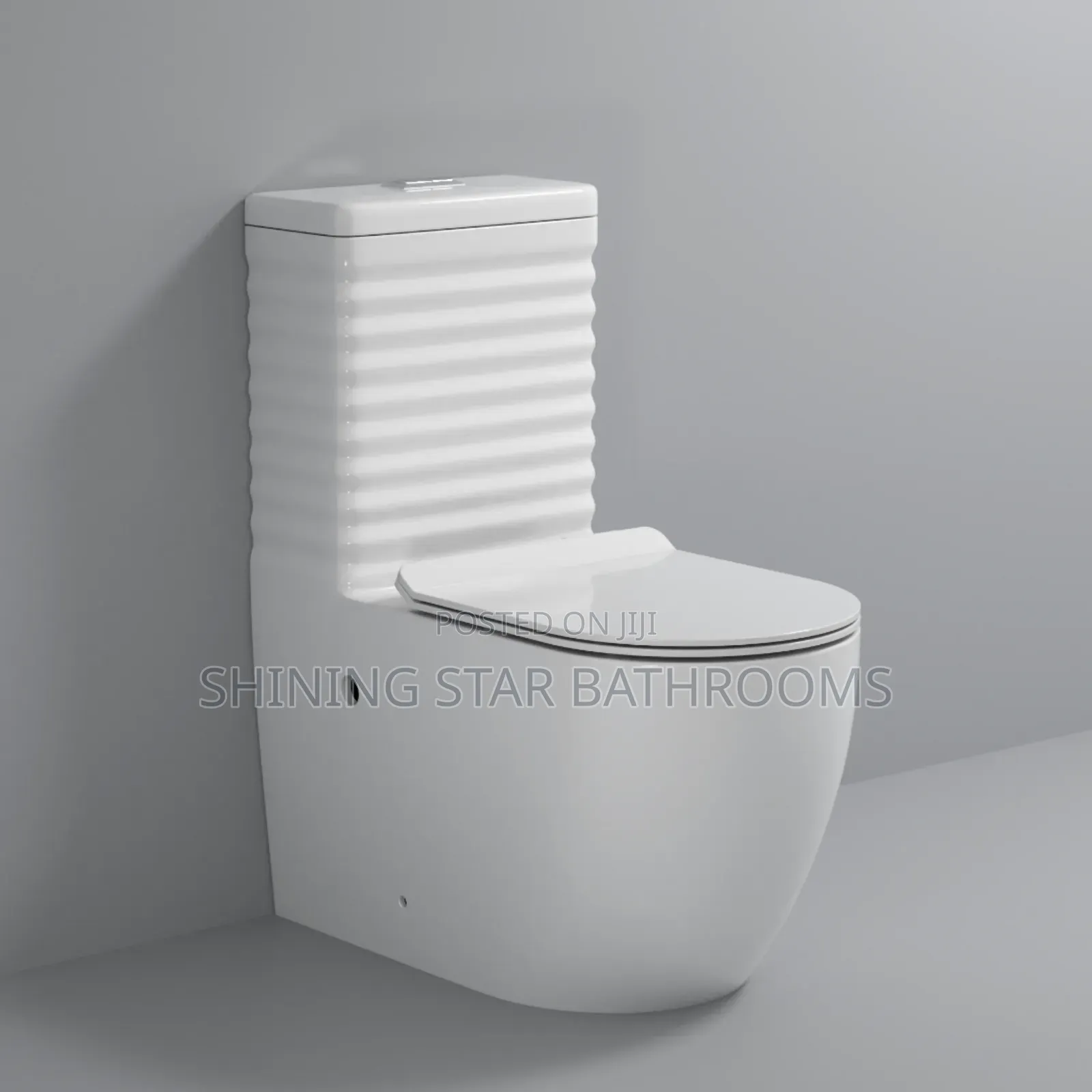 Executive Toilet Set With Wall Hung Basin