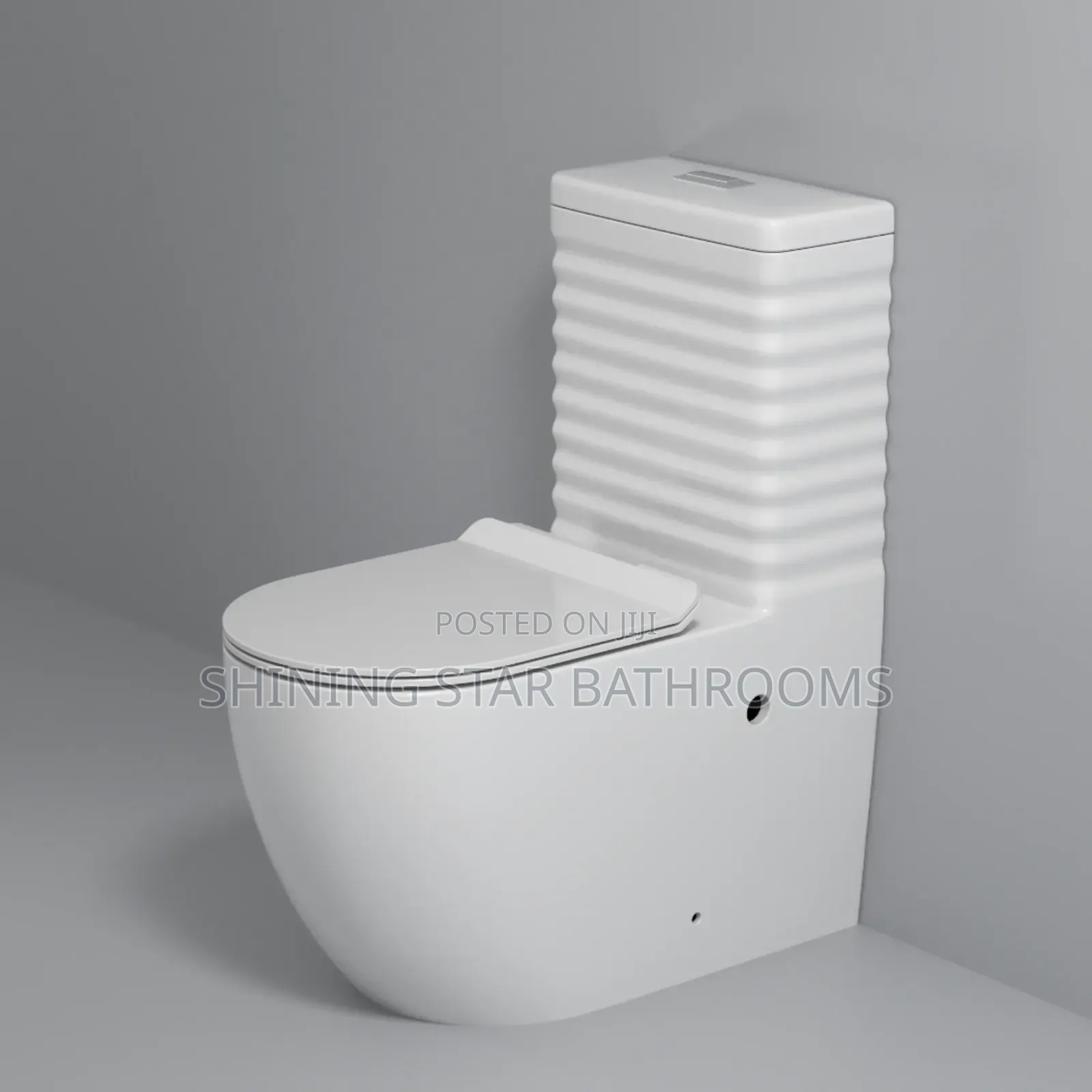 Executive Toilet Set With Wall Hung Basin