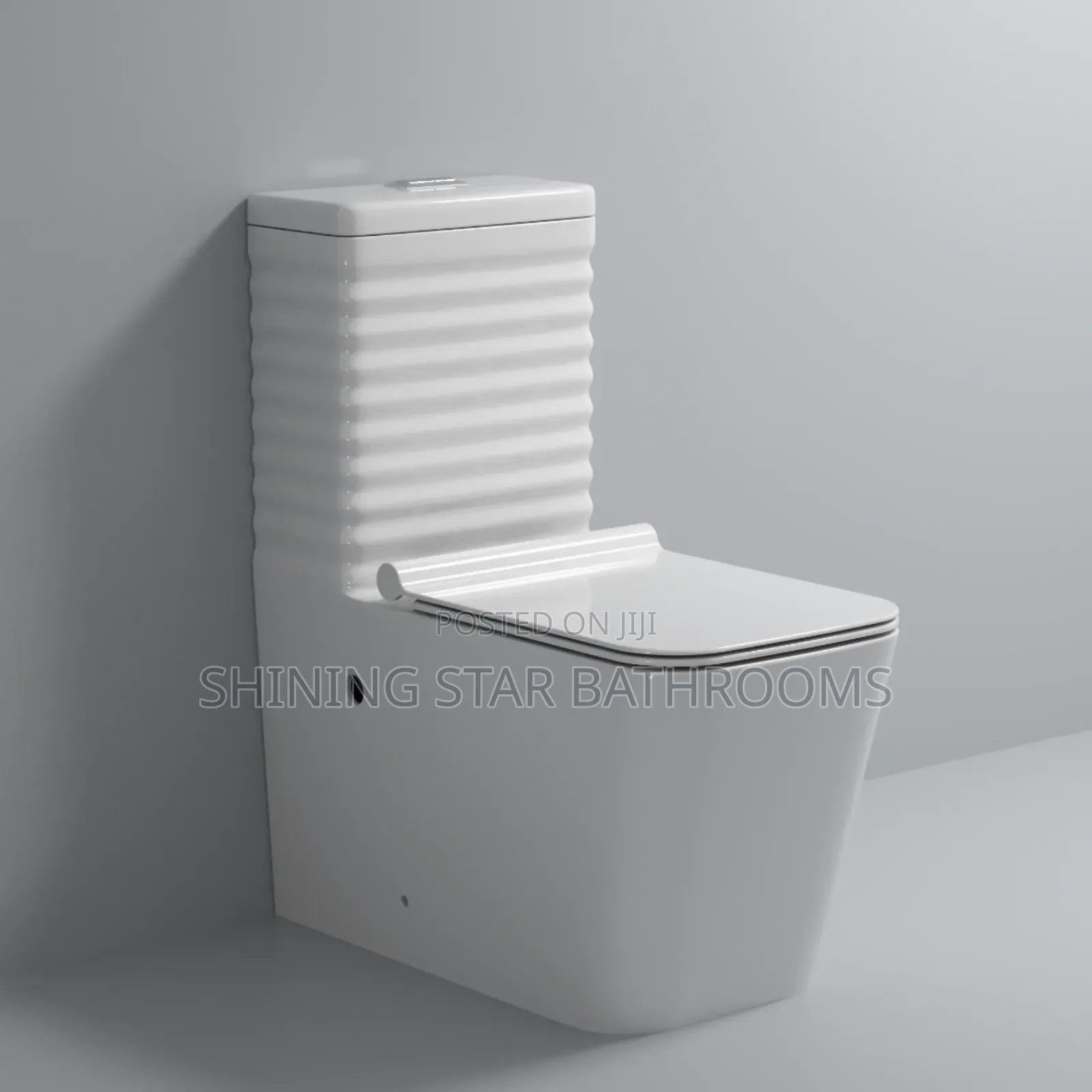 Executive Toilet Set With Wall Hung Basin