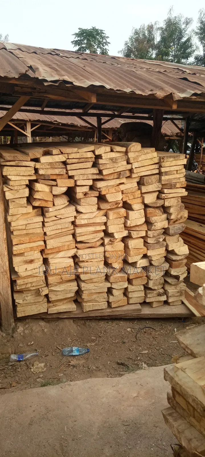 Malaina, Teak, Osandan Wood for Sale