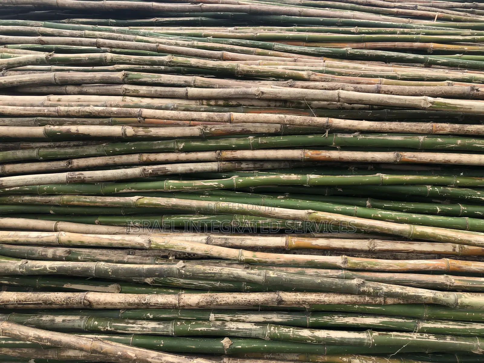 Bamboo for Scaffolding Short and Long