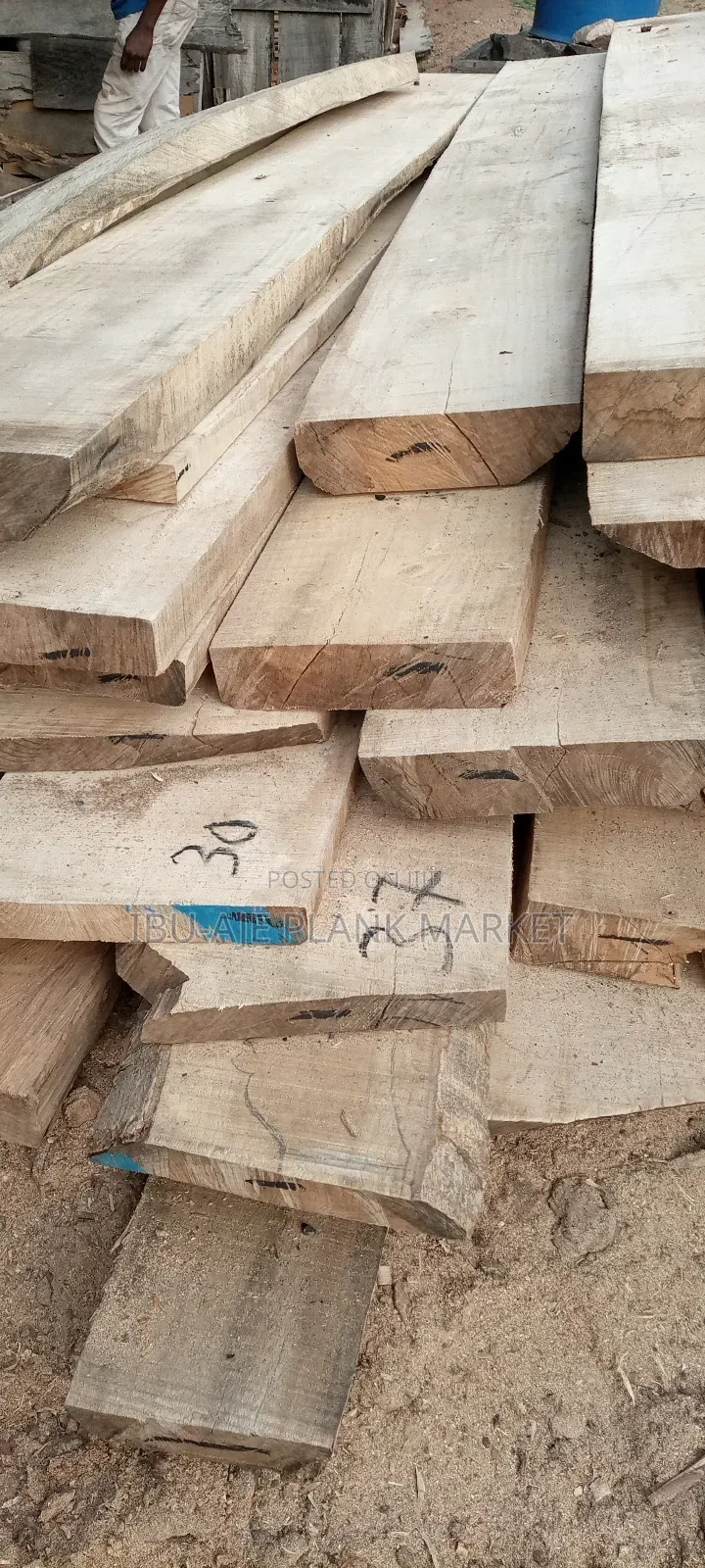 Malaina, Teak, Osandan Wood for Sale