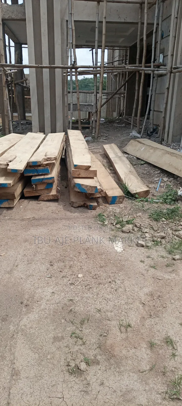 Malaina, Teak, Osandan Wood for Sale