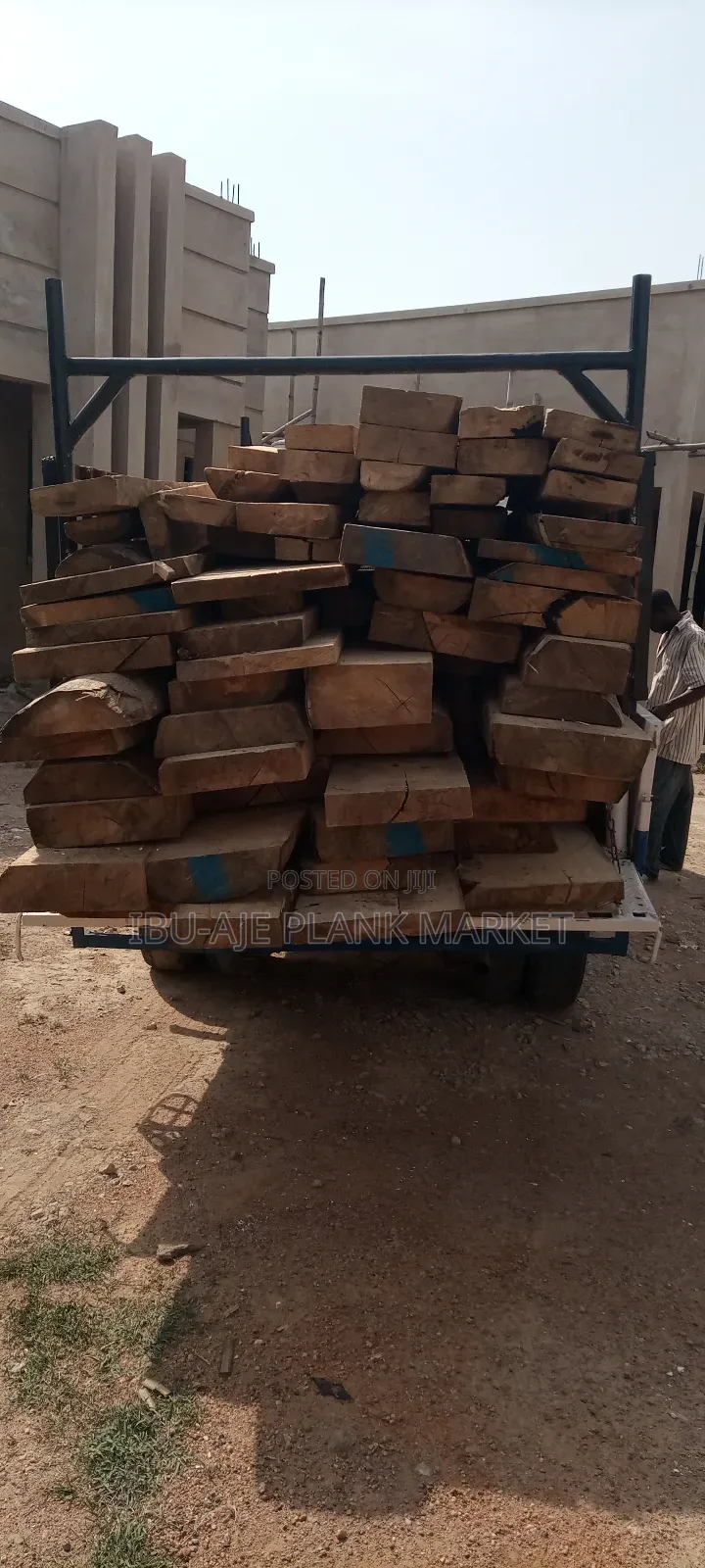 Malaina, Teak, Osandan Wood for Sale