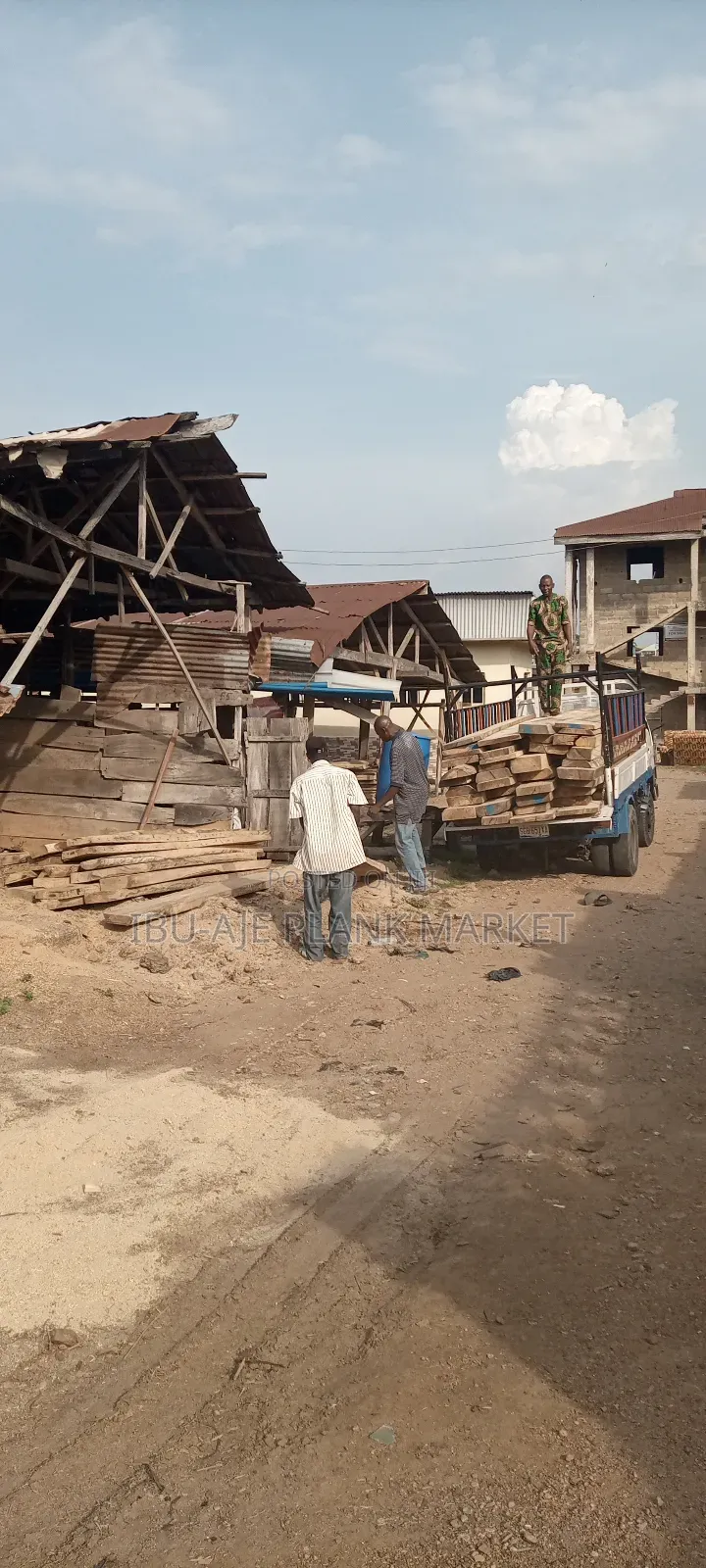 Malaina, Teak, Osandan Wood for Sale