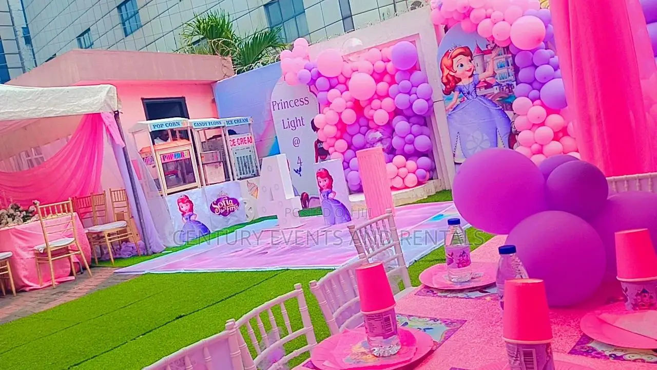 Birthday Party Decorations and Organizers