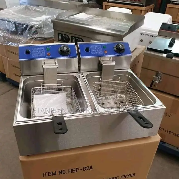 Electric Double Deep Fryer