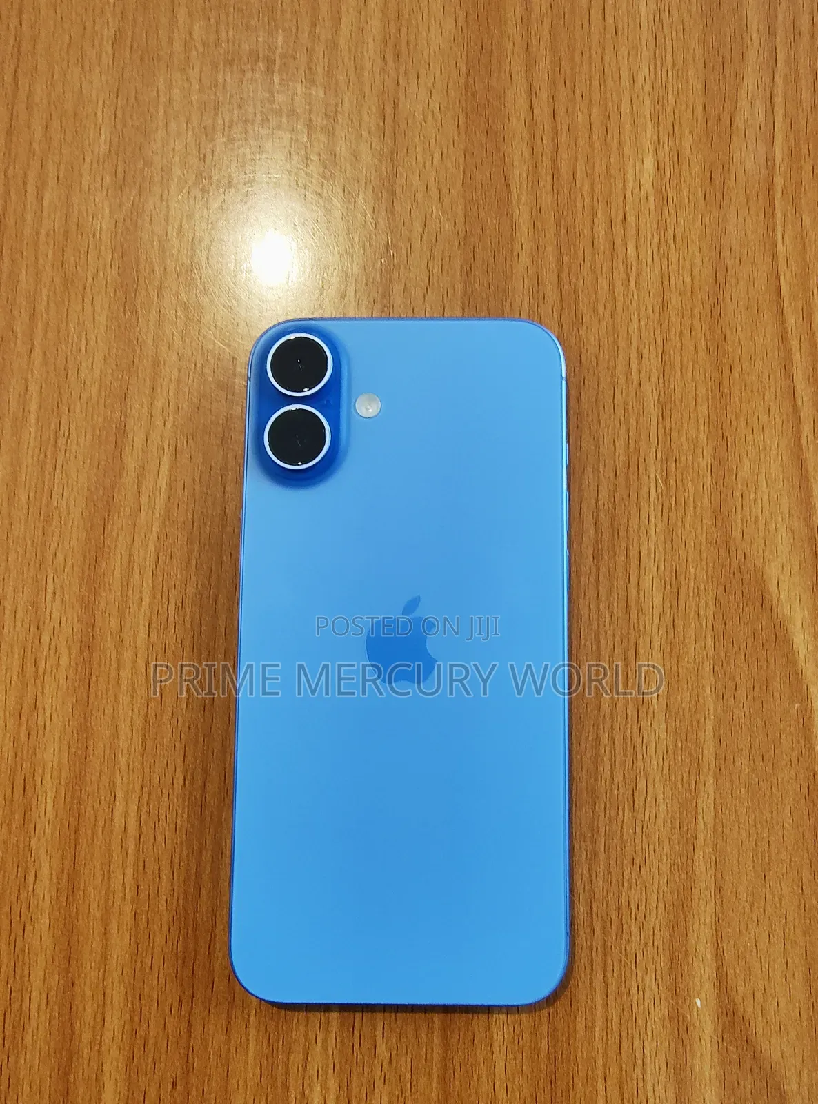 Apple iPhone 16 Plus 256 GB Blue