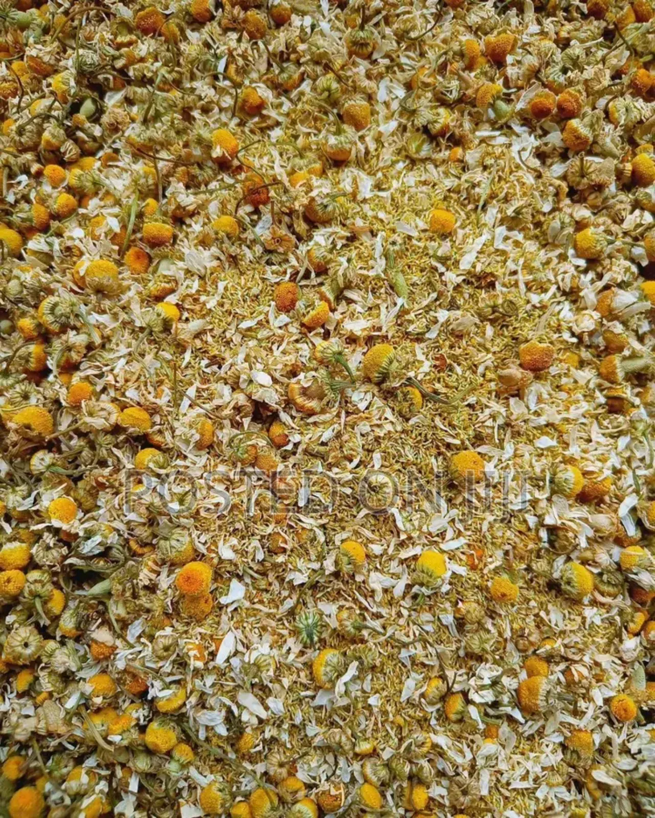 Chamomile 50g