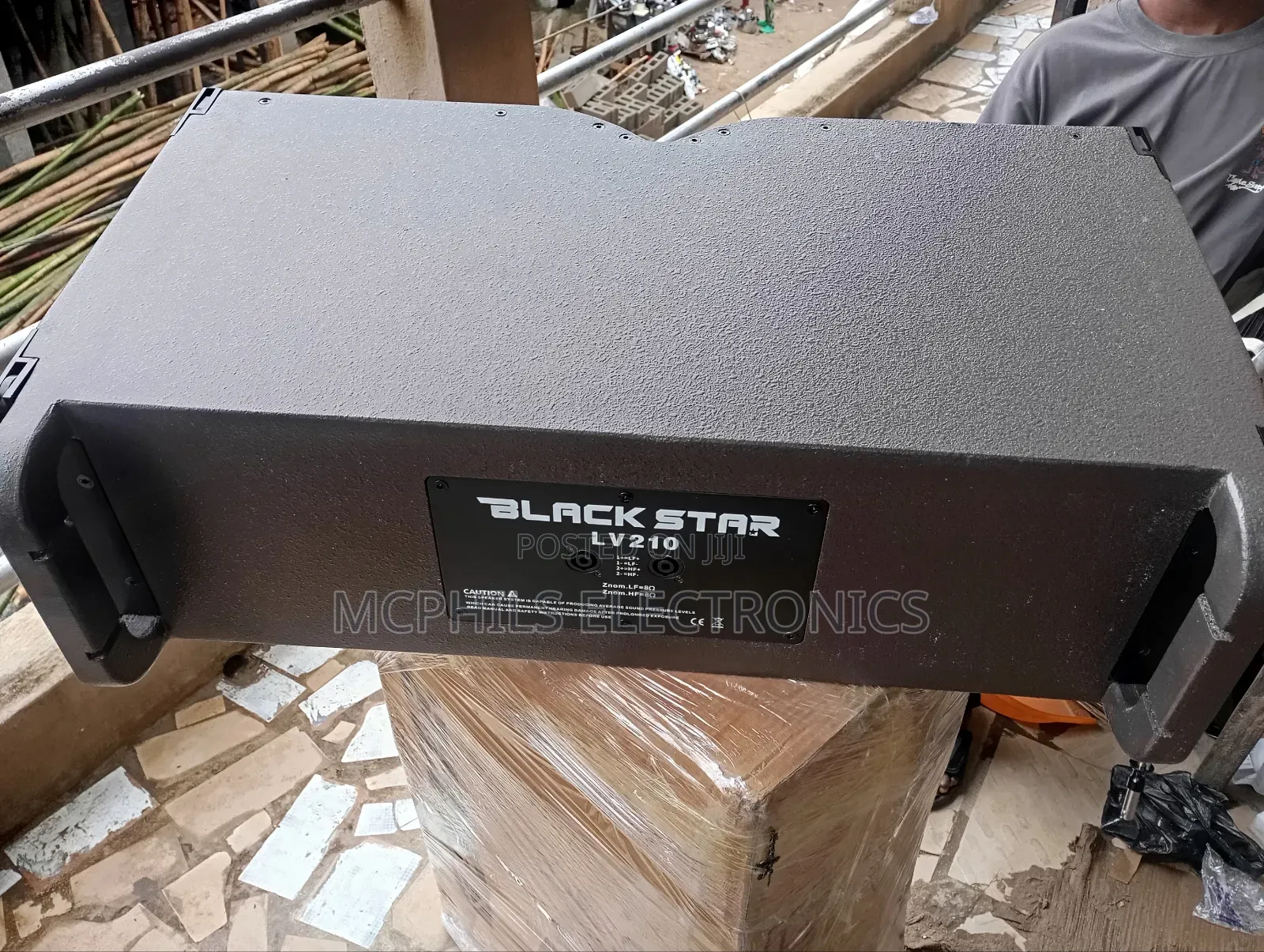 Black Star 10 Inches Line Array Speakers Lv-210