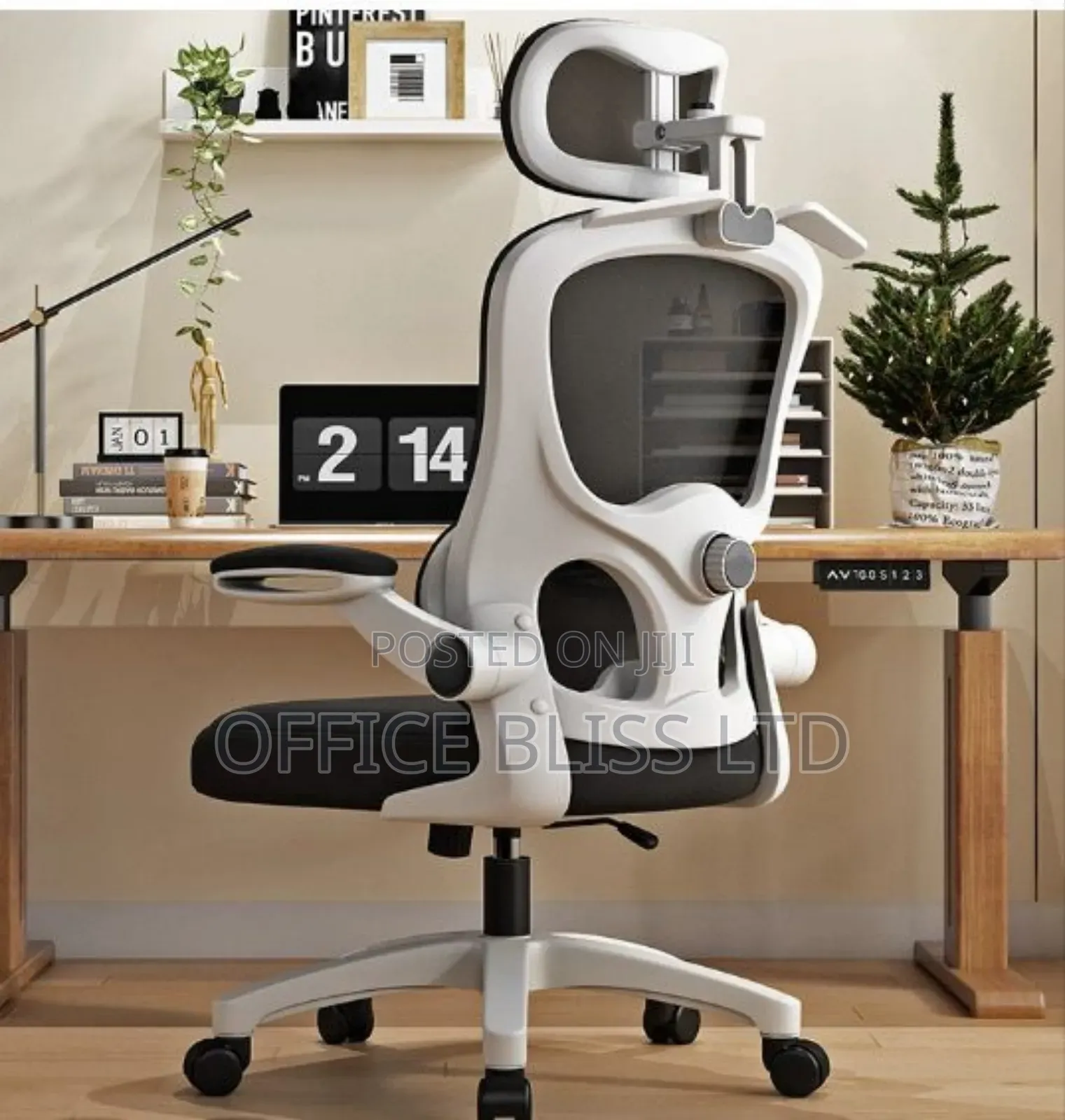 Trendy Egornomic Swivel Office Chair - White Back