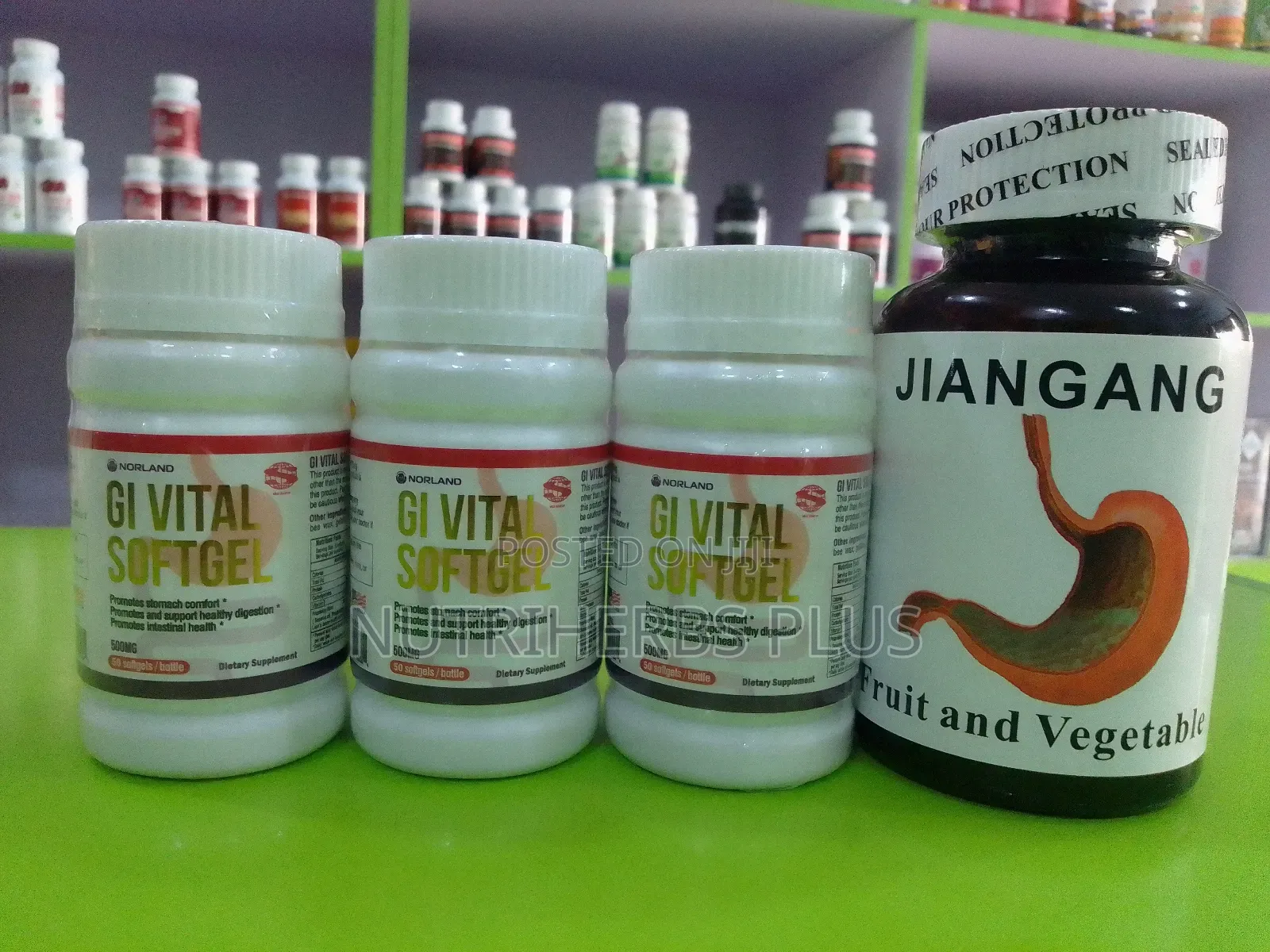 Norland Gi Vital+ Jiangang Fruit and Vegetables: For Ulcer Treatment