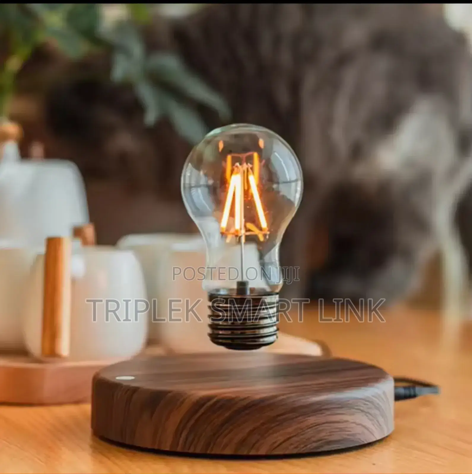 Magnetic Levitation Lamp Floating Led Bulb Home Office Desk Decoration