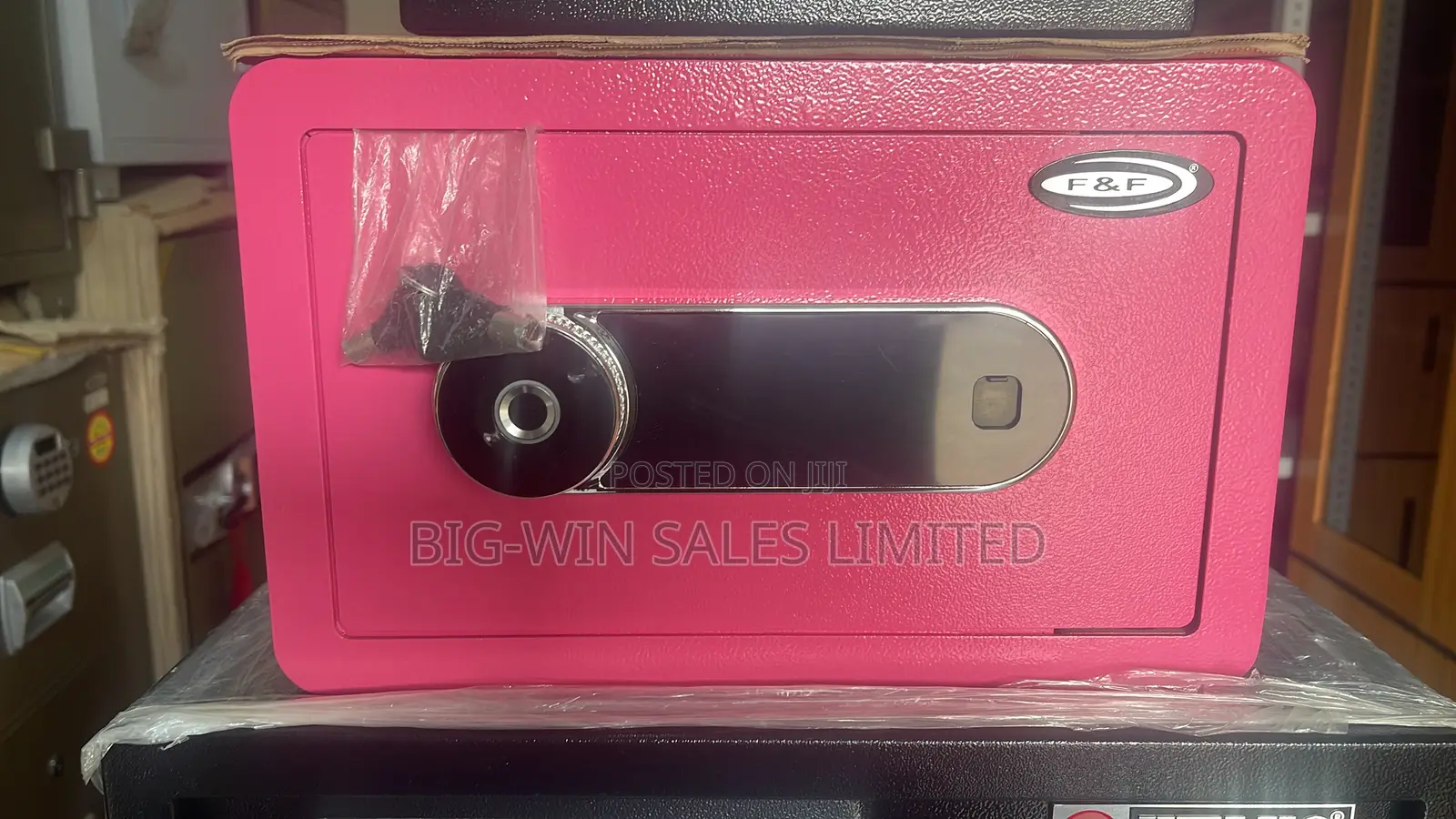 Pink Fingerprint Safe