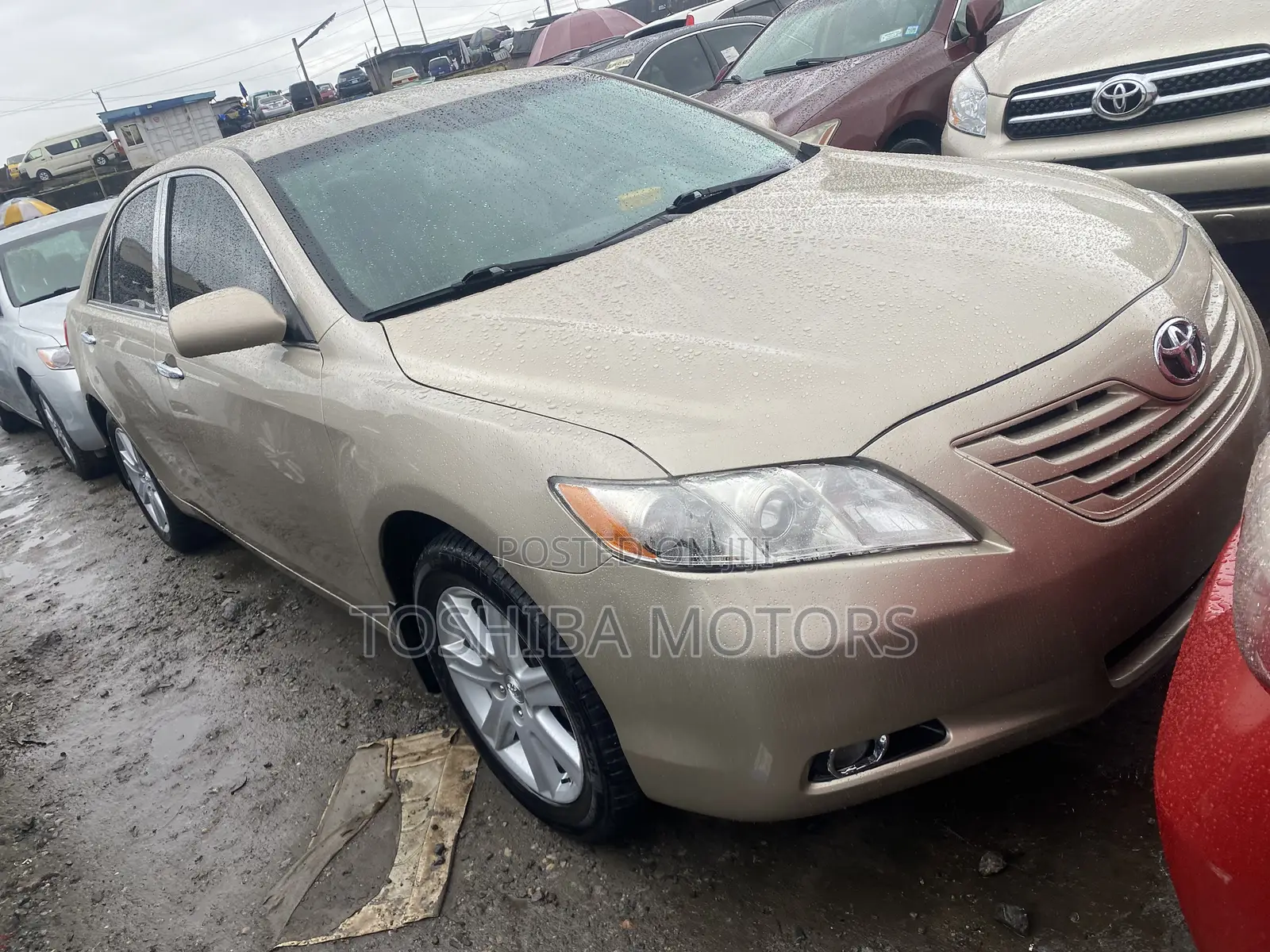Toyota Camry LE 4dr Sedan (2.4L 4cyl 5A) 2009 Gold