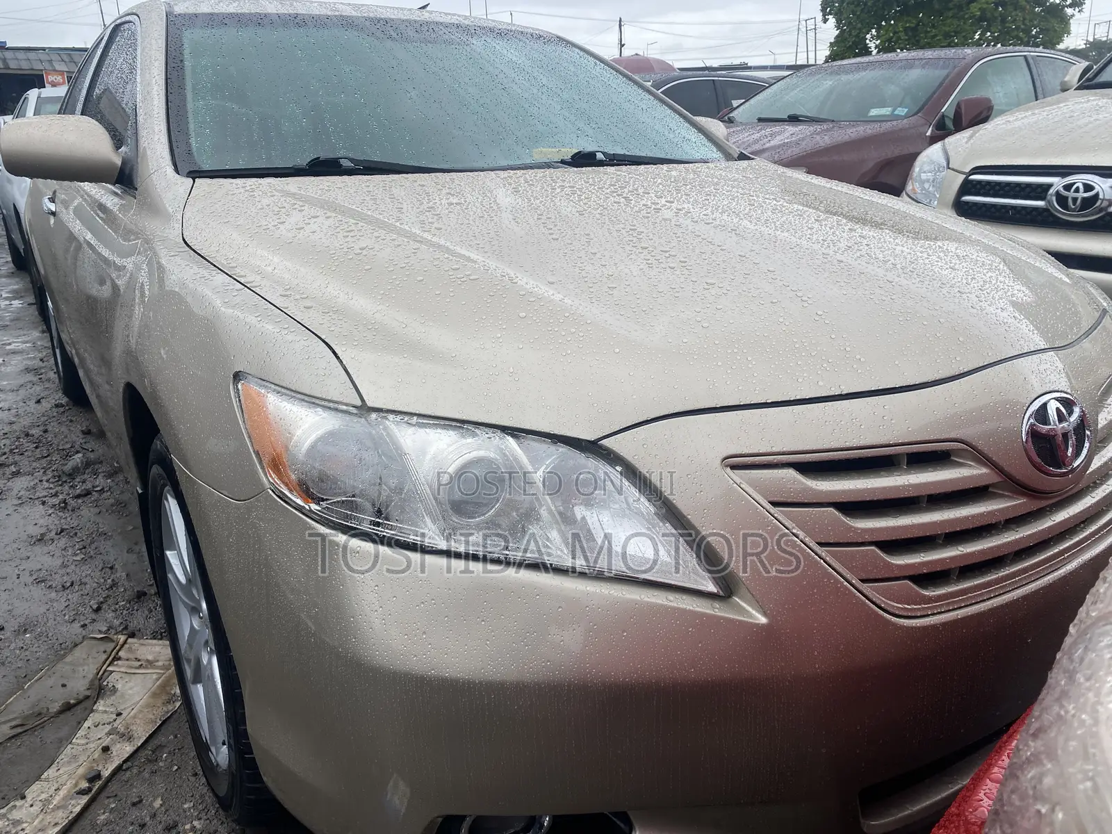Toyota Camry LE 4dr Sedan (2.4L 4cyl 5A) 2009 Gold