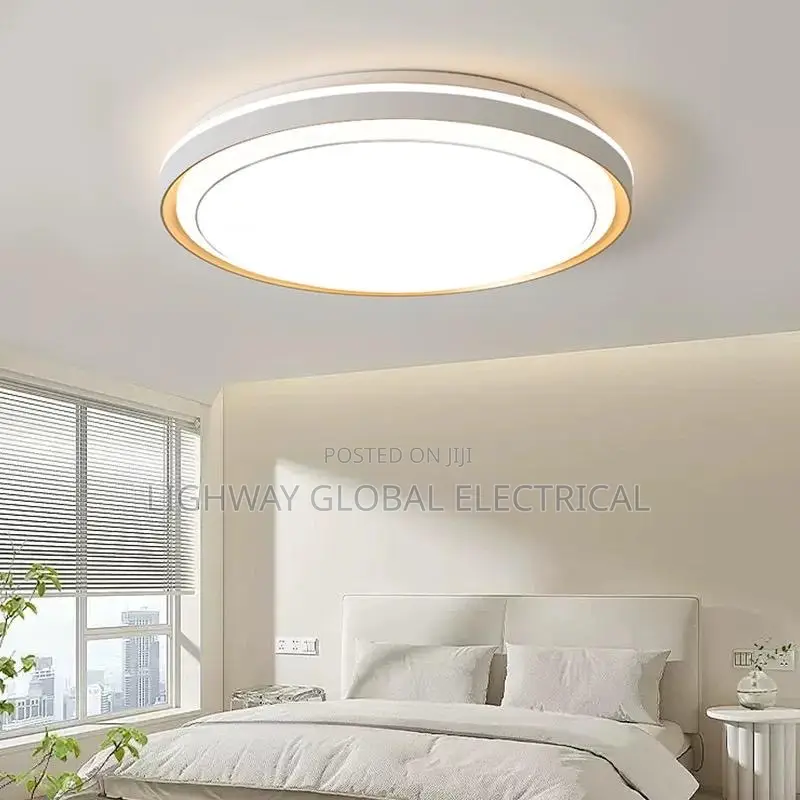 Simple Luxury Led Ceiling Fitting