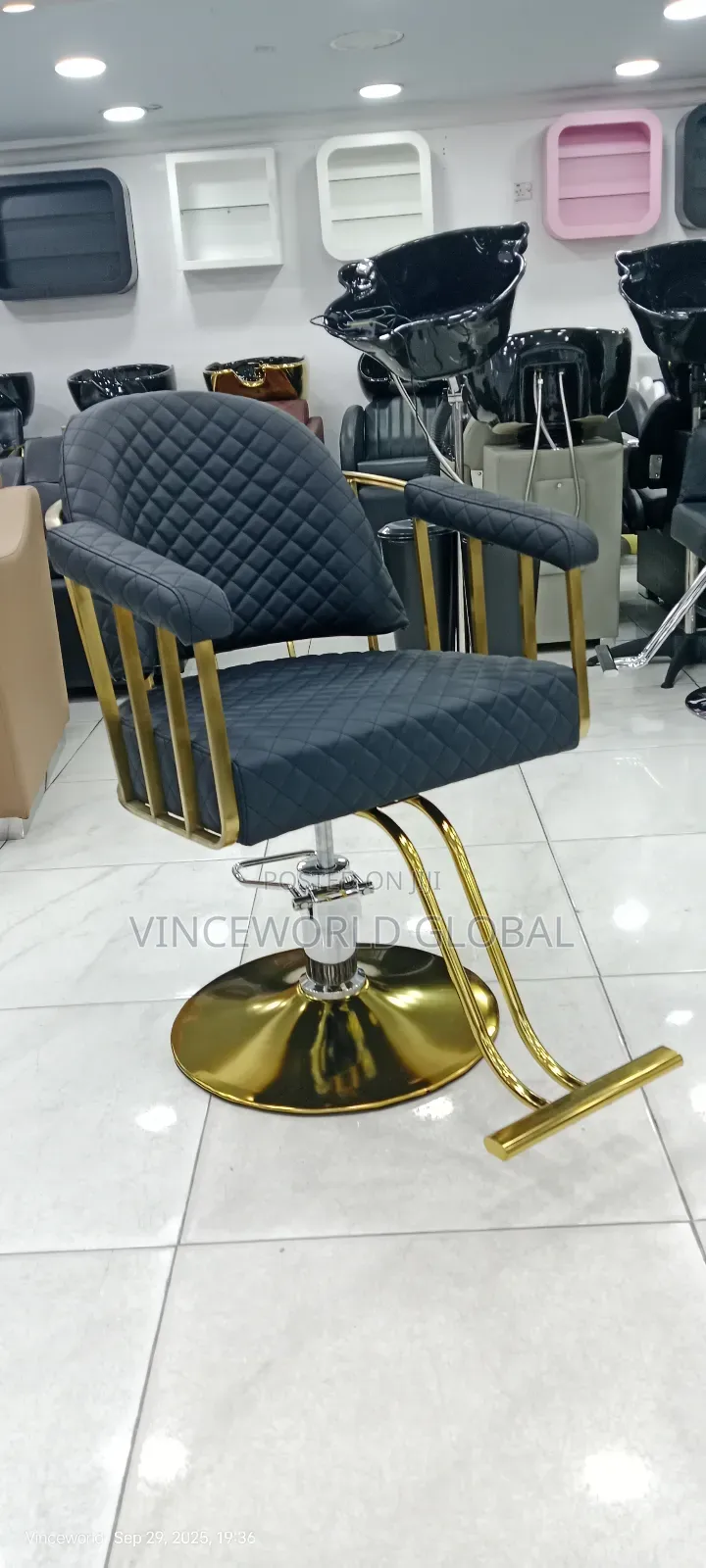 Unique Design Unisex Salon Chair