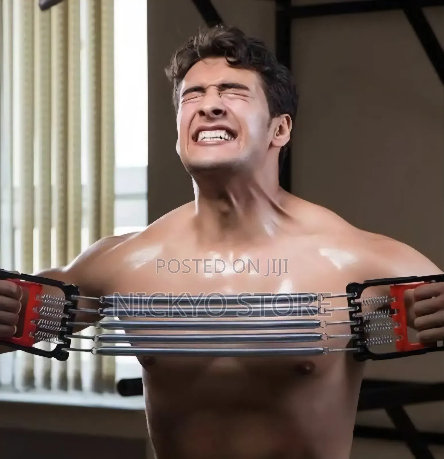 Chest Expander Resistance Fitness Trainer