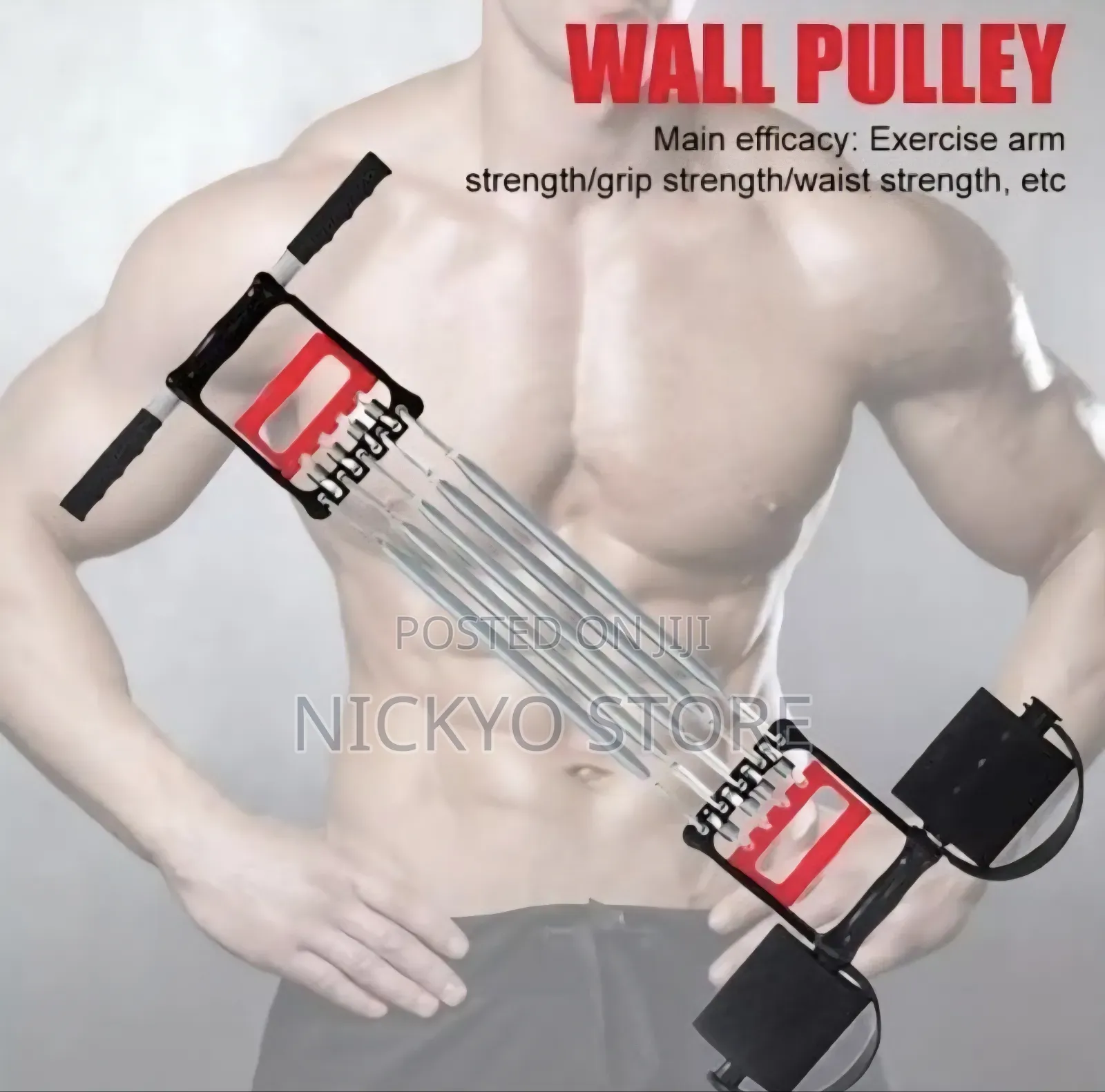 Chest Expander Resistance Fitness Trainer