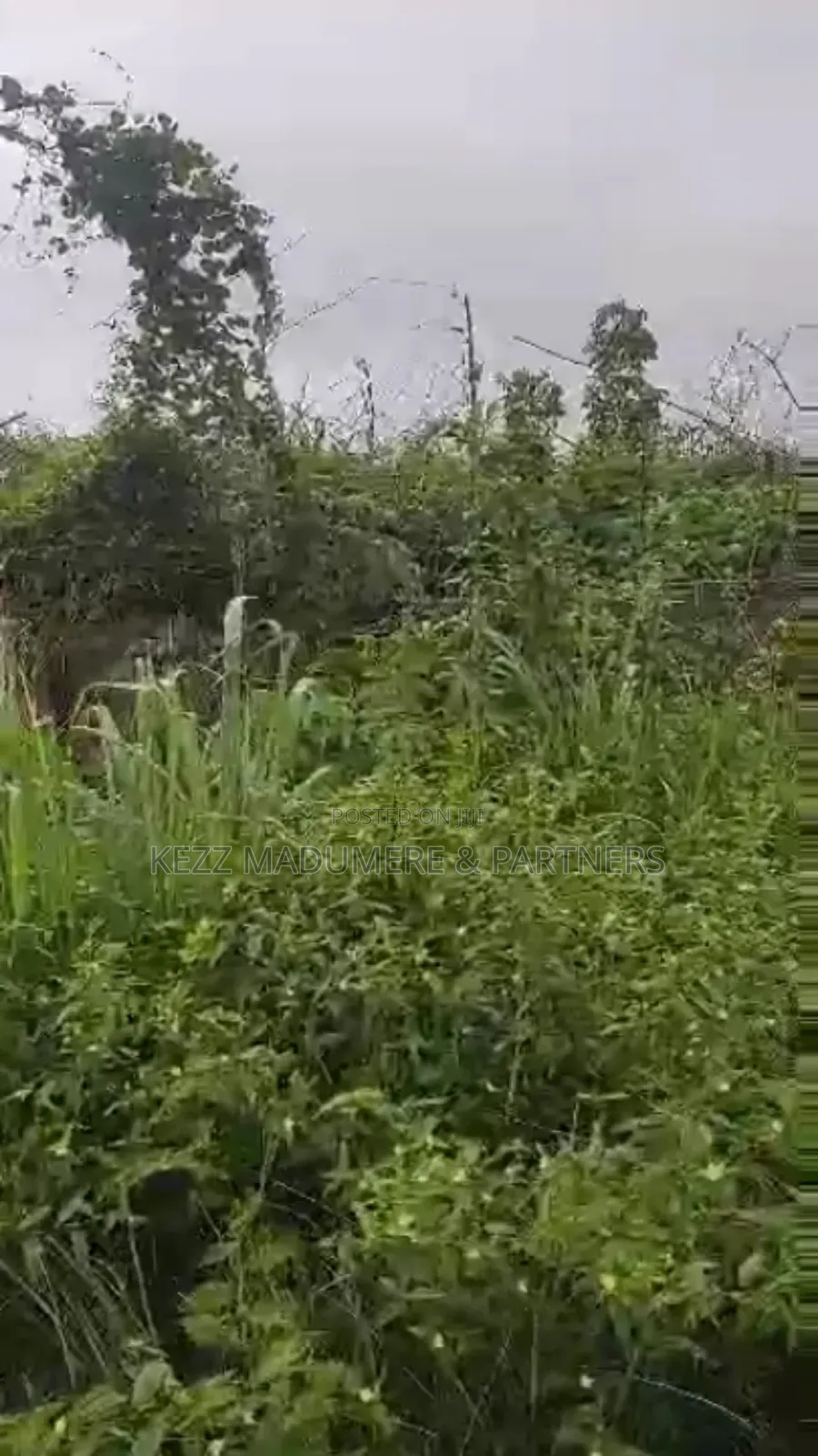 For Sale : Cofo 7 Plots at Besides Akachi Est . Wethral Aba Owerri Rd