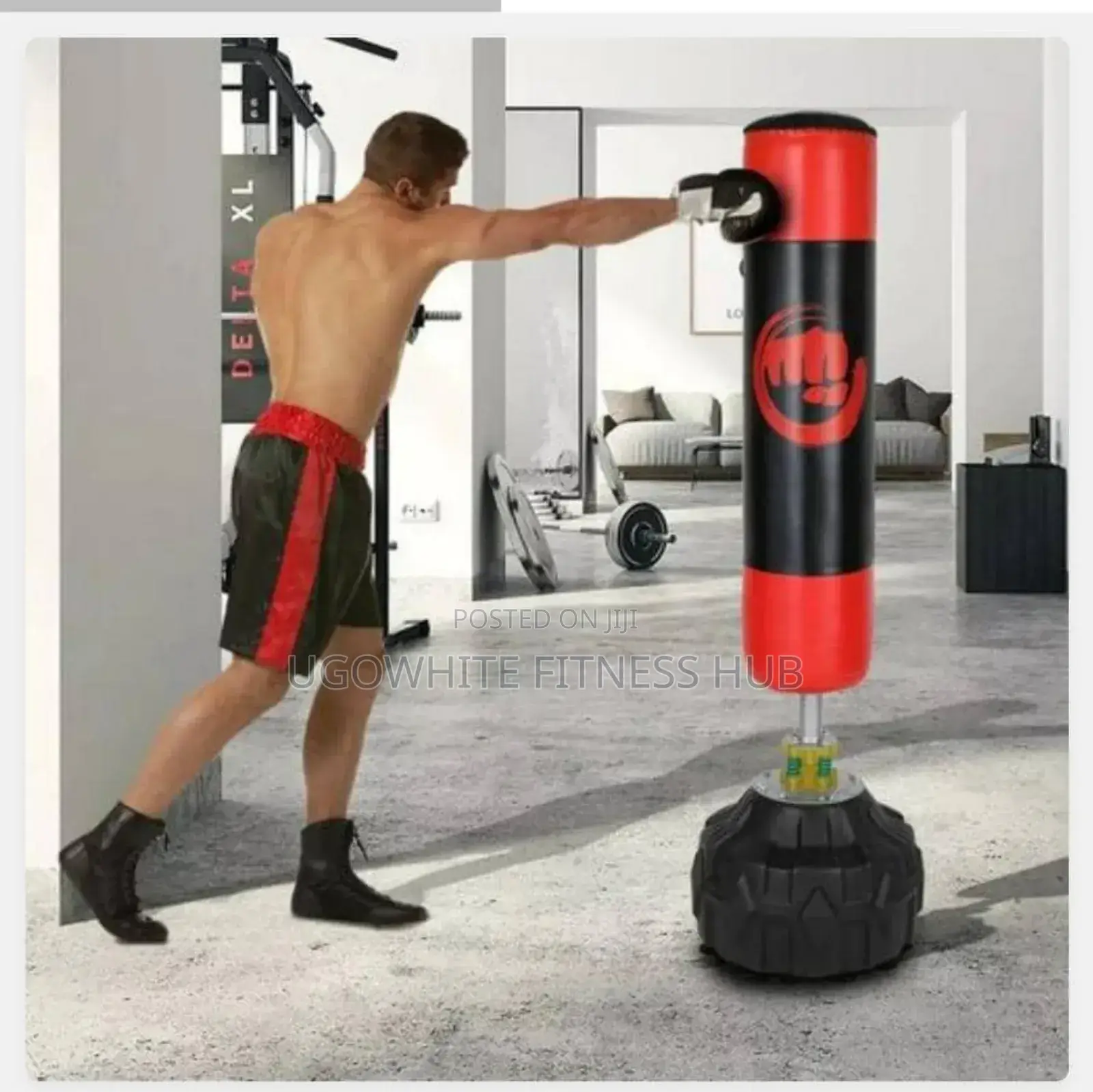 Standing Punching Bag