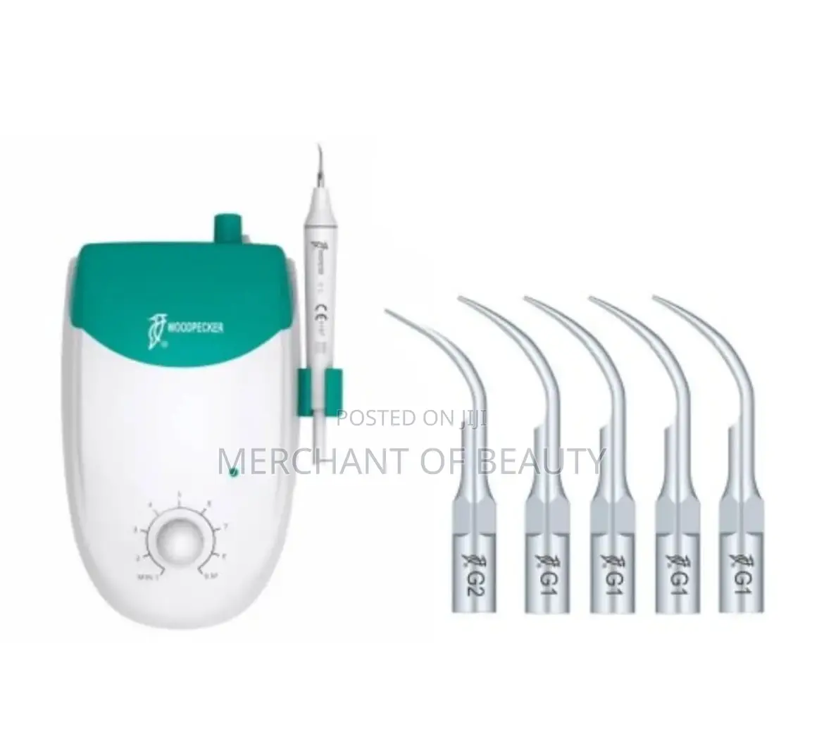 Woodpecker Teeth Scaler