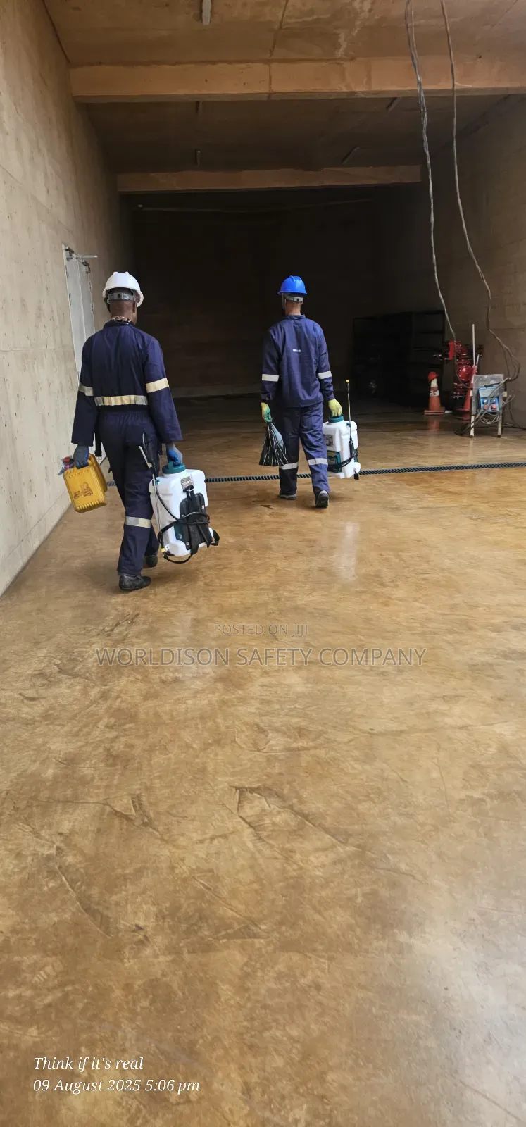 Pests Control and Fumigation Services