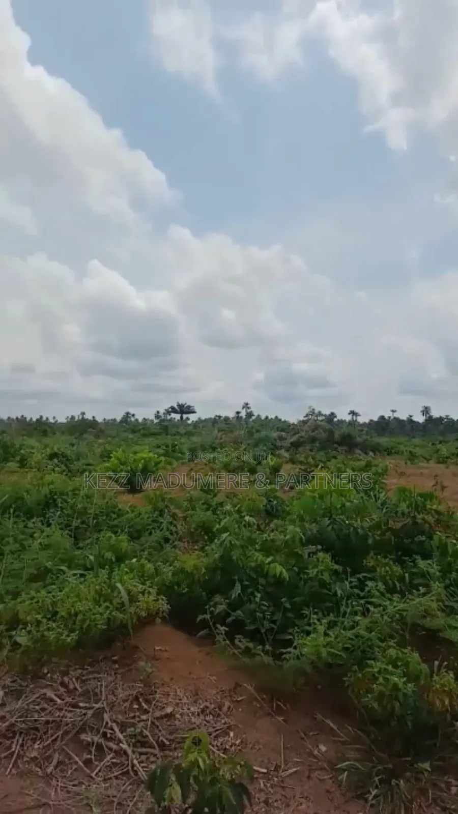 For Sale: 8 Plots With Cofo at Obirikwere Opm Rd, Ph