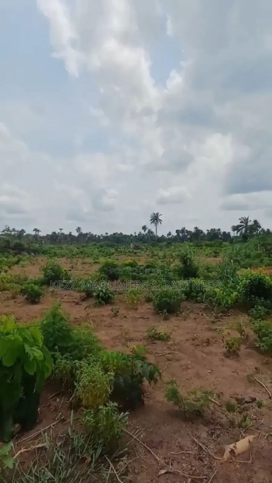 For Sale: 8 Plots With Cofo at Obirikwere Opm Rd, Ph