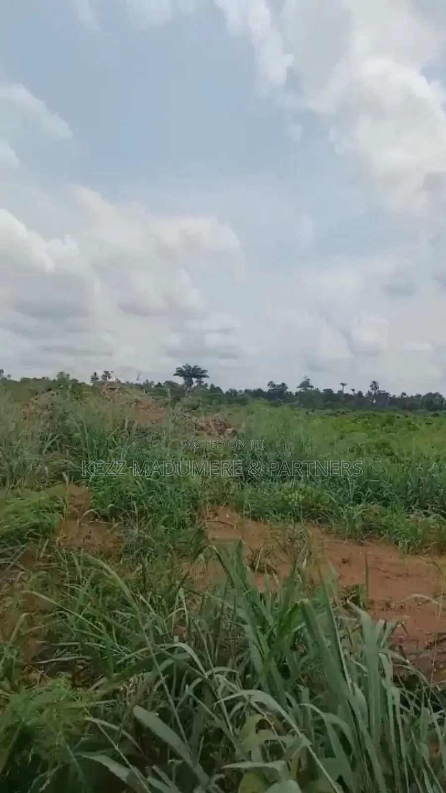 For Sale: 8 Plots With Cofo at Obirikwere Opm Rd, Ph