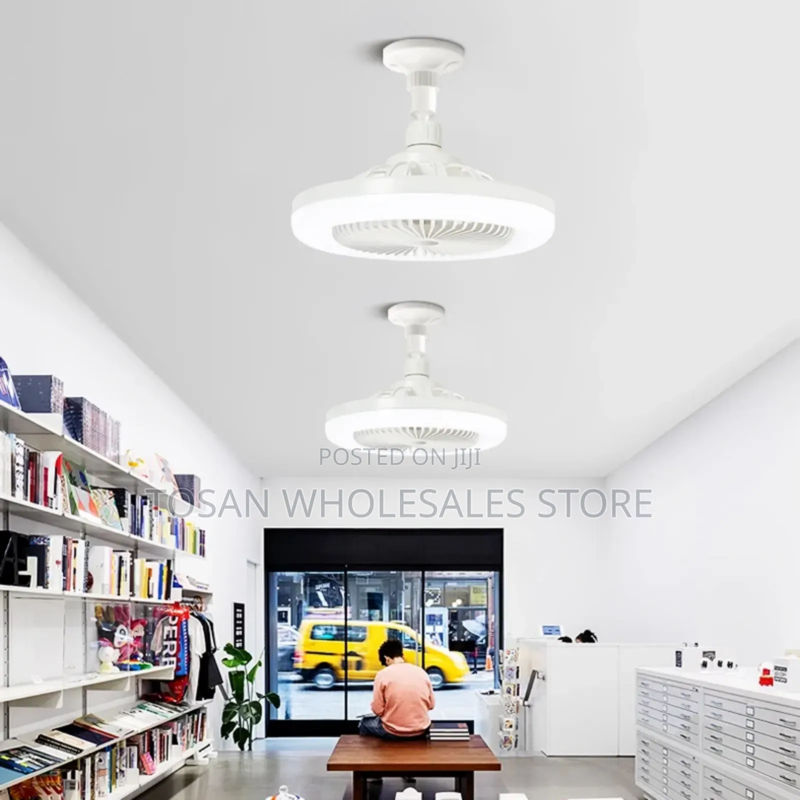 Multifunctional Fan Light