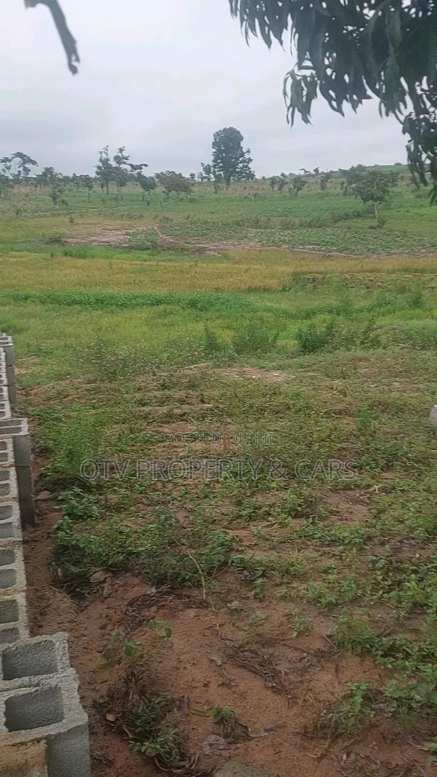 20 Hectare at Guzape 2 for Sale Purpose~Mixed Use (Comp)