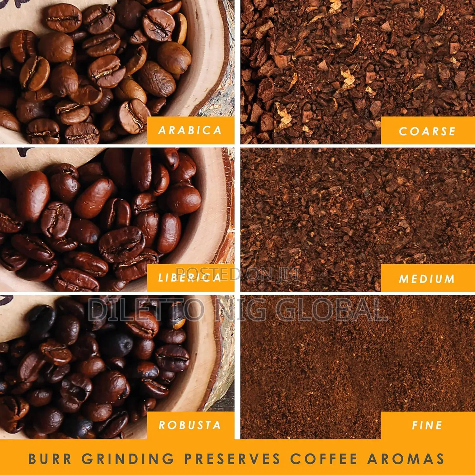 Caffé Coffee Grinder - Electric Burr Machine for Coffee Beans