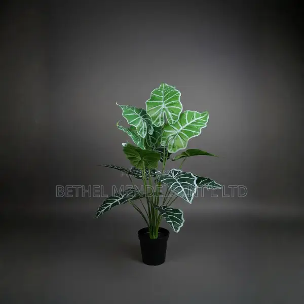 Artificial Alocasia Amazonica Plant 75cm – Lifelike Faux Décor