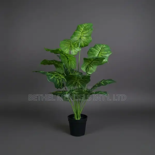 Artificial Alocasia Macrorrhizos 75cm – Realistic Faux Plant