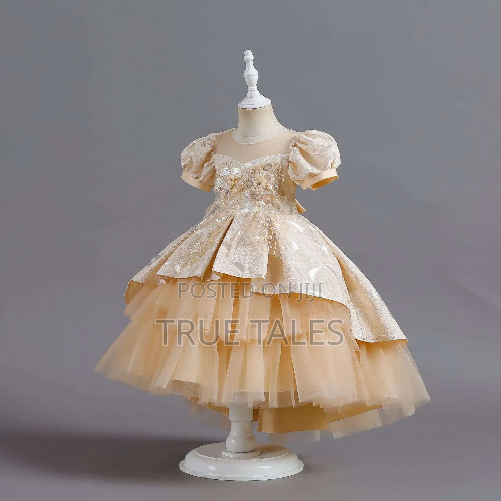 Girl's Cinderella Full Tail Ball Gown Dress . Ages 3 to 9