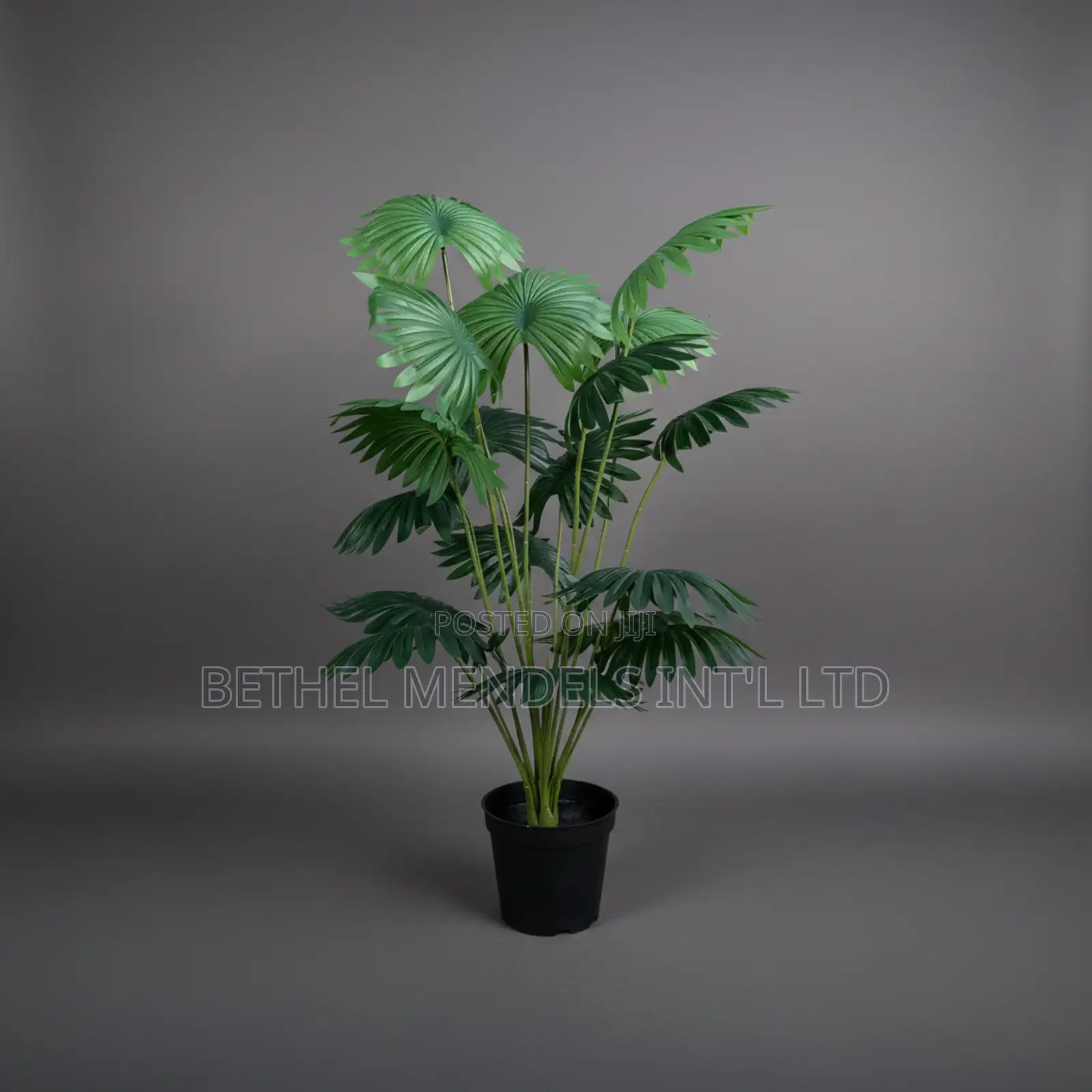Artificial Mini Fan Palm 70cm – Dark Green Tropical Plant