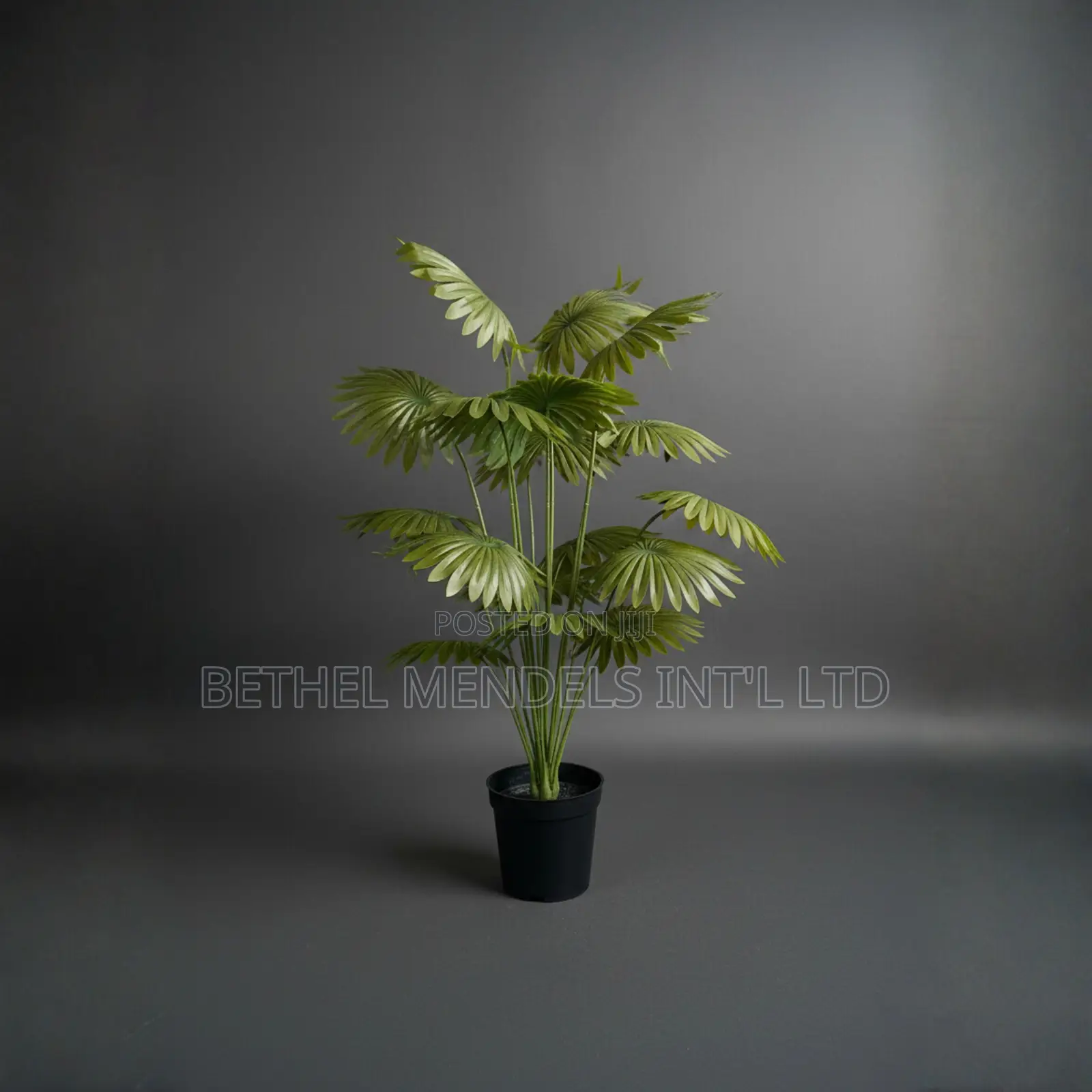 Artificial Mini Fan Palm 70cm – Light Green Faux Palm Plant