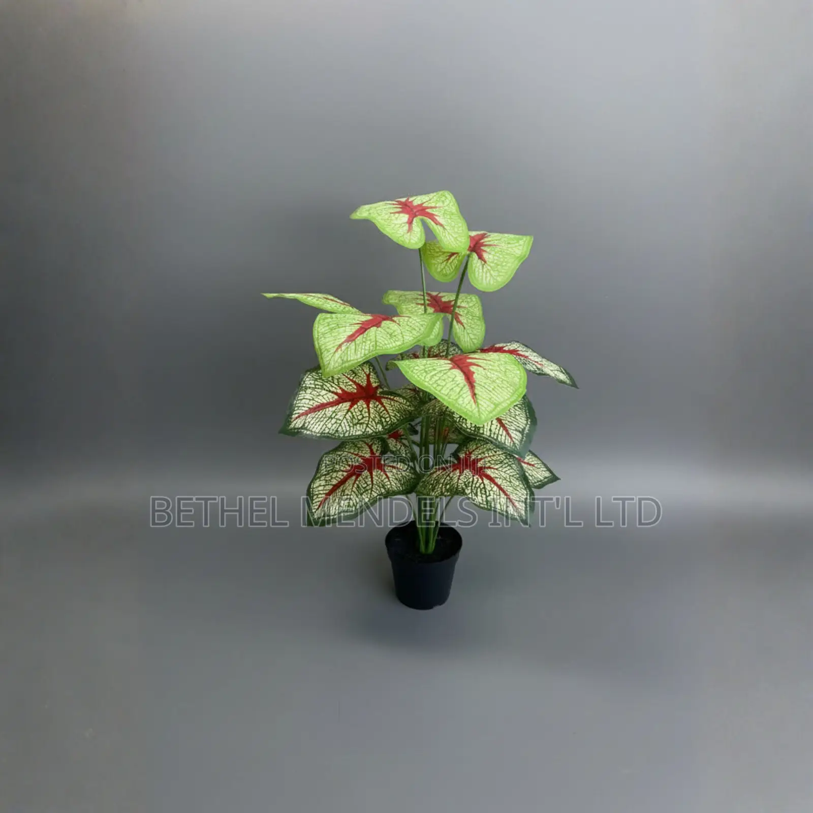 Artificial Taro Plant 70cm – Red Leaf Faux Tropical Décor