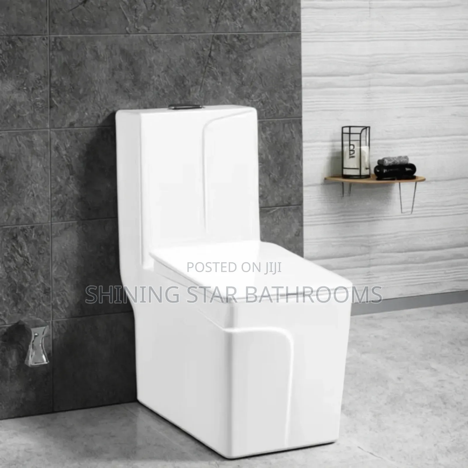 Dragon White Toilet Set With Basin