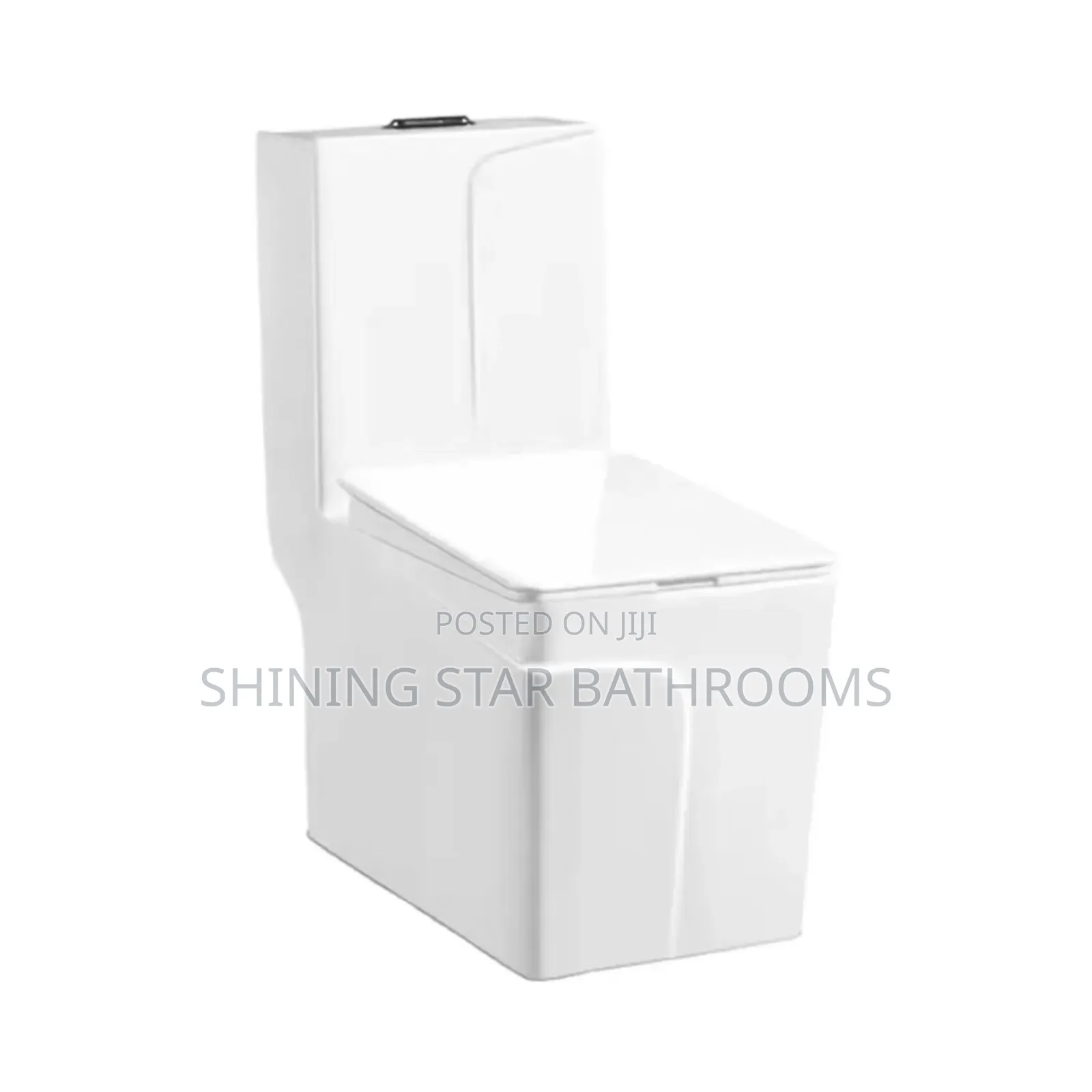 Dragon White Toilet Set With Basin