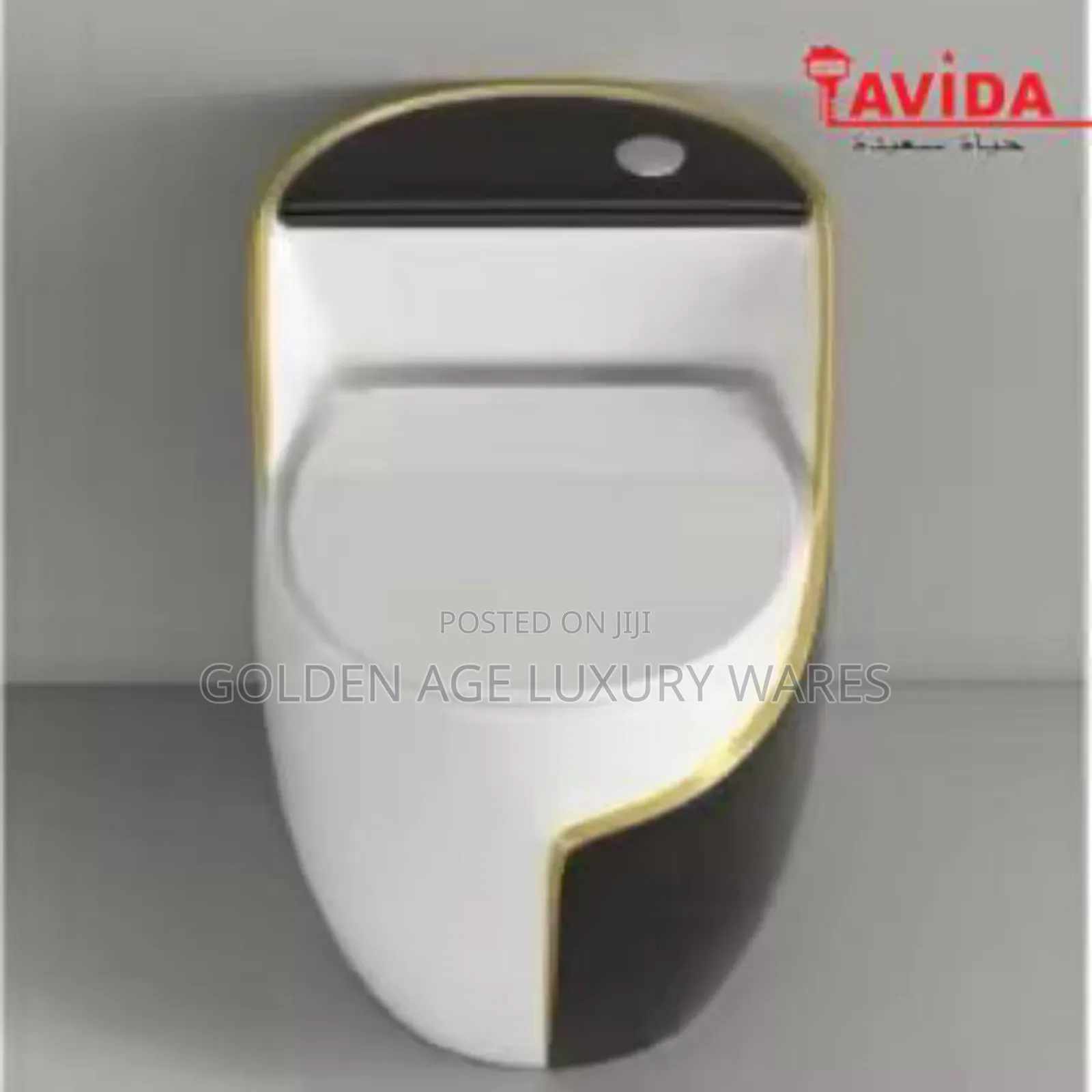 White and Grey One Piece Toilet