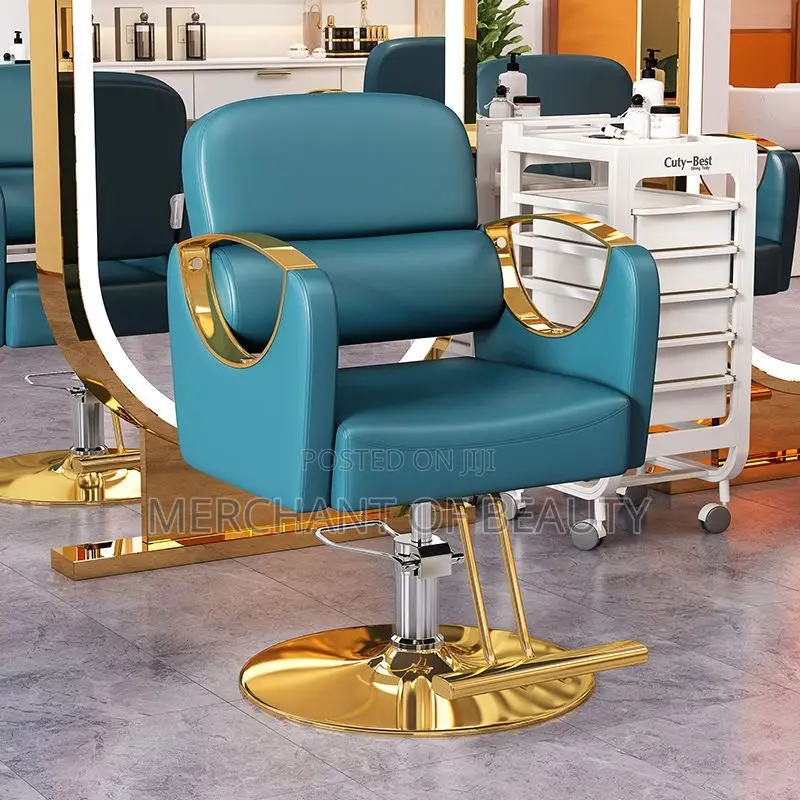 Unisex Salon Chair