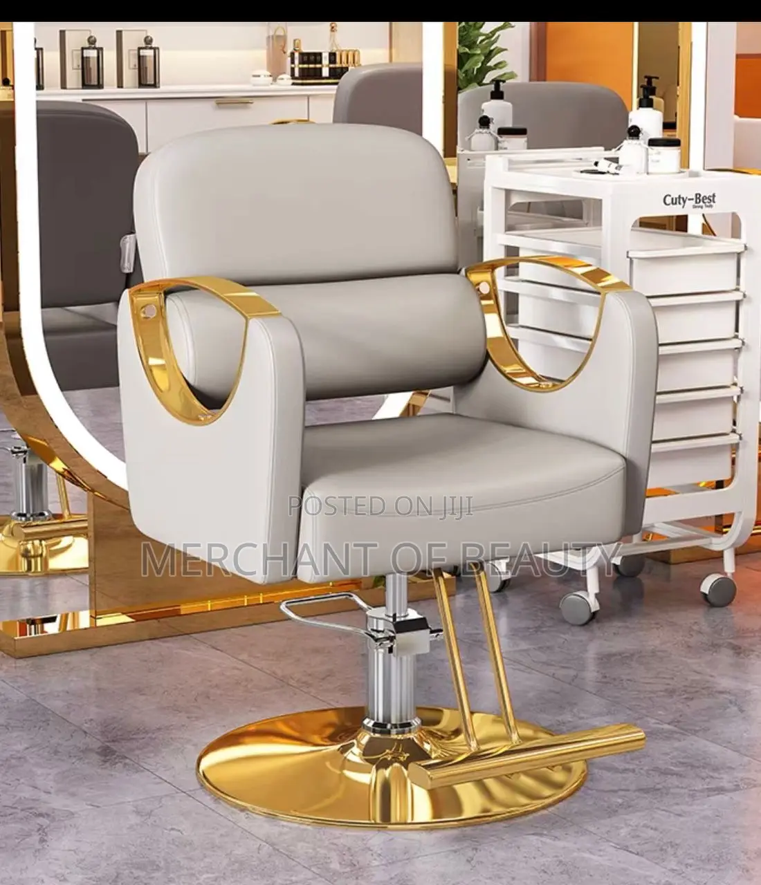 Unisex Salon Chair