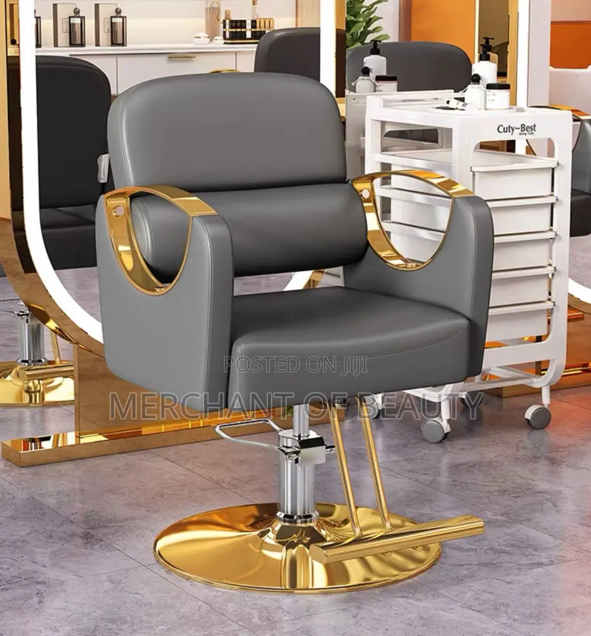 Unisex Salon Chair