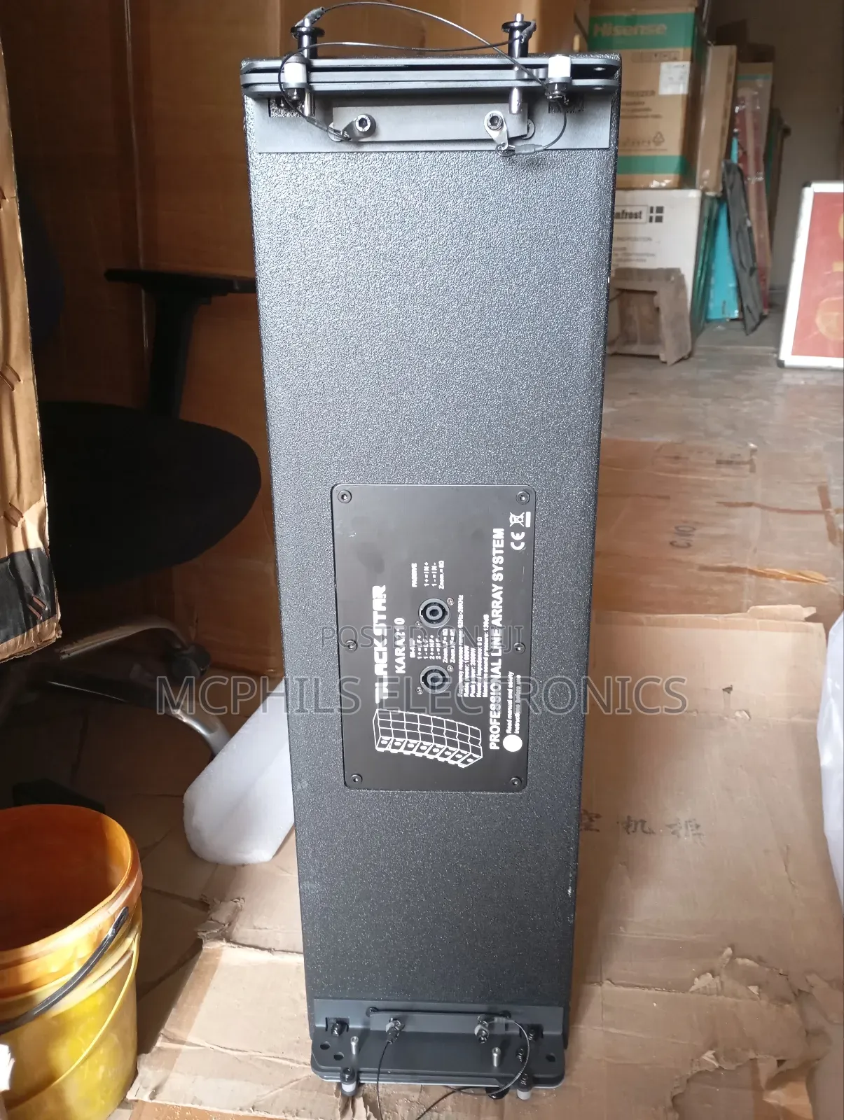 Black Star 12 Inches Line Array Speakers