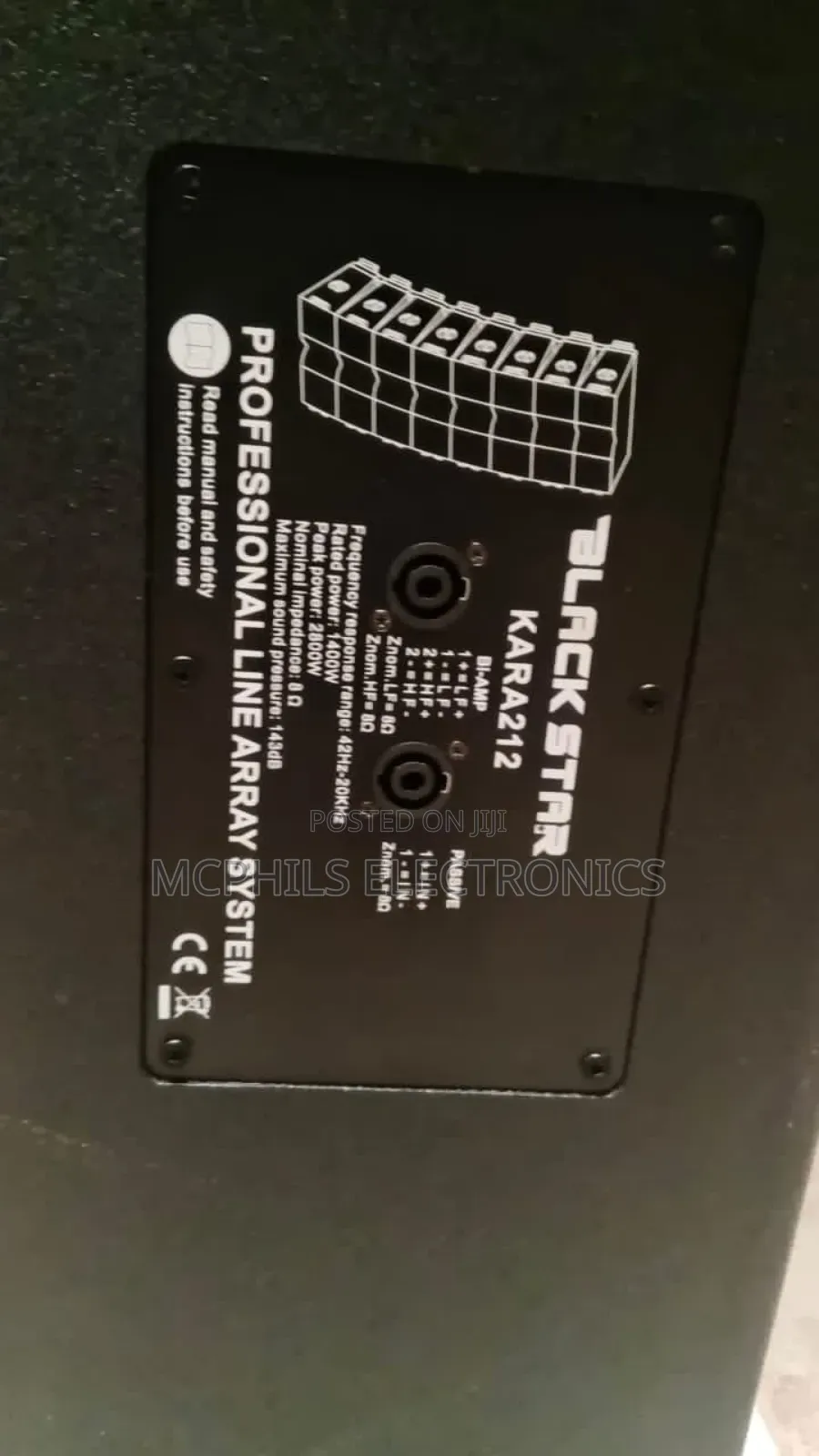 Black Star 12 Inches Line Array Speakers